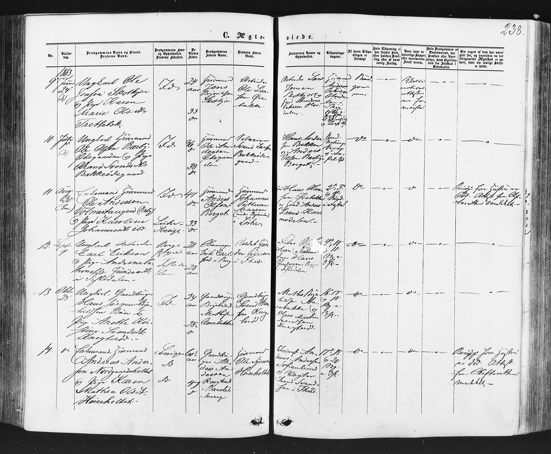 Idd prestekontor Kirkebøker, AV/SAO-A-10911/F/Fc/L0005: Ministerialbok nr. III 5, 1861-1877, s. 238