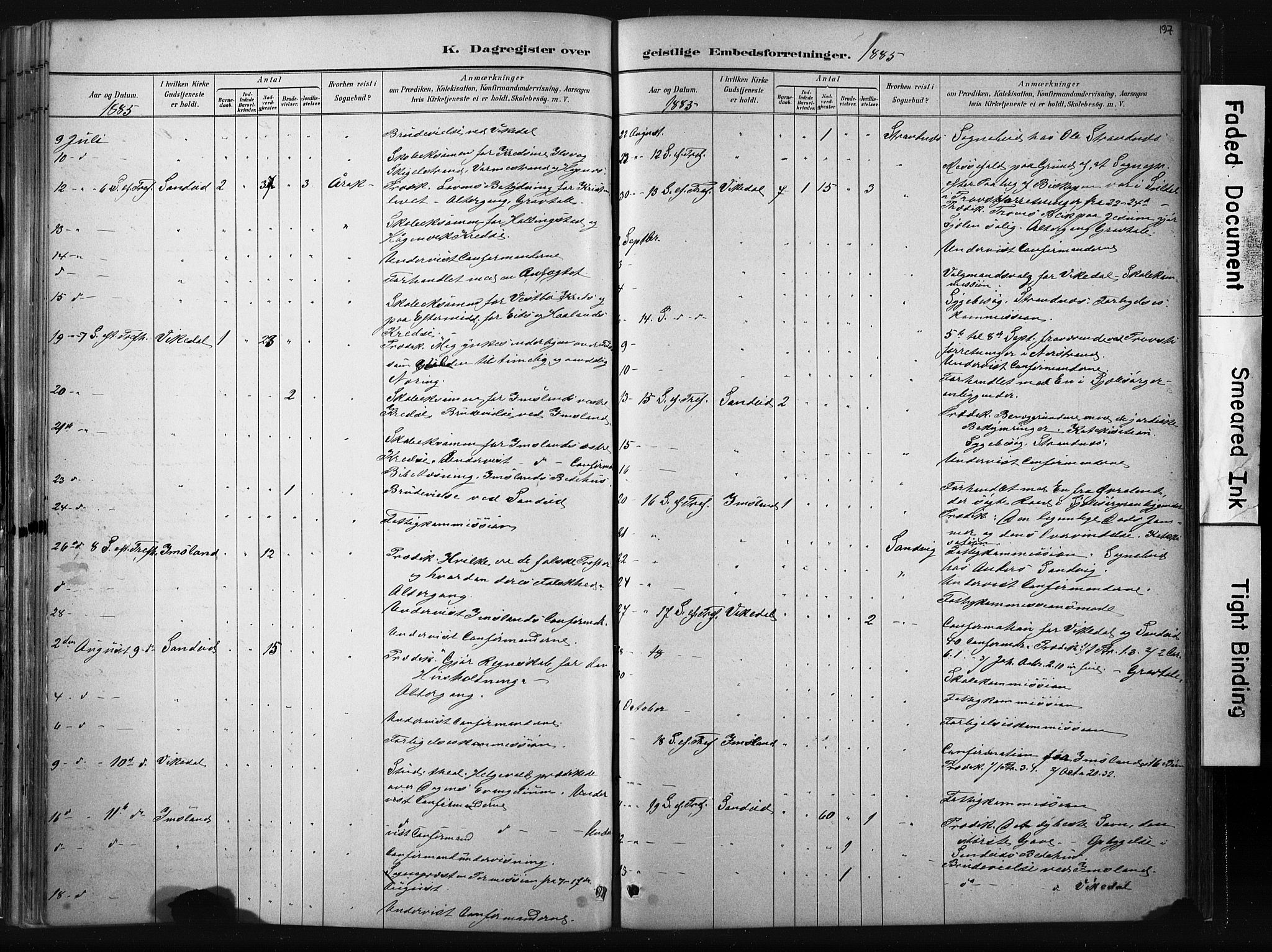 Vikedal sokneprestkontor, AV/SAST-A-101840/01/IV: Ministerialbok nr. A 10, 1884-1907, s. 197