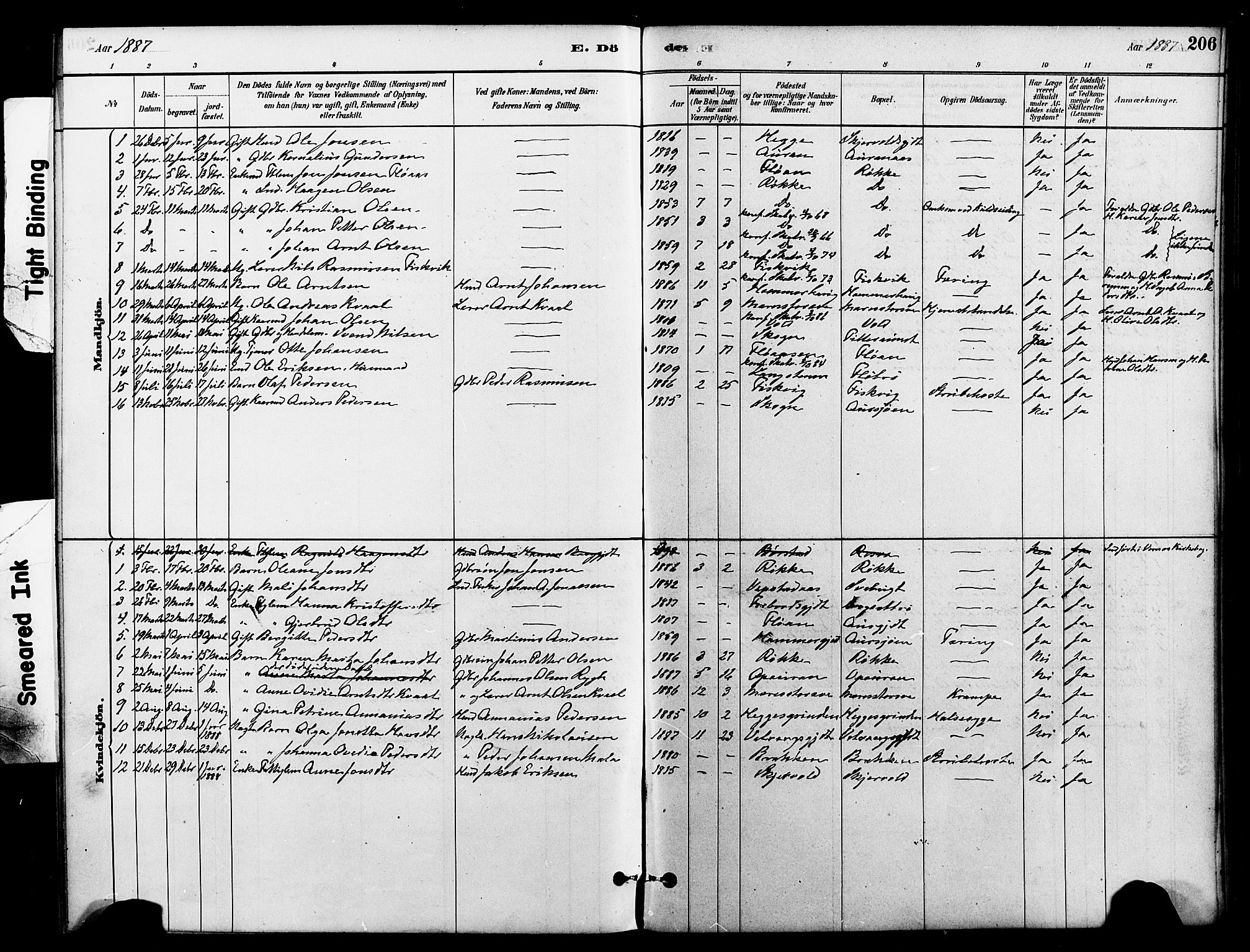 Ministerialprotokoller, klokkerbøker og fødselsregistre - Nord-Trøndelag, SAT/A-1458/712/L0100: Ministerialbok nr. 712A01, 1880-1900, s. 206