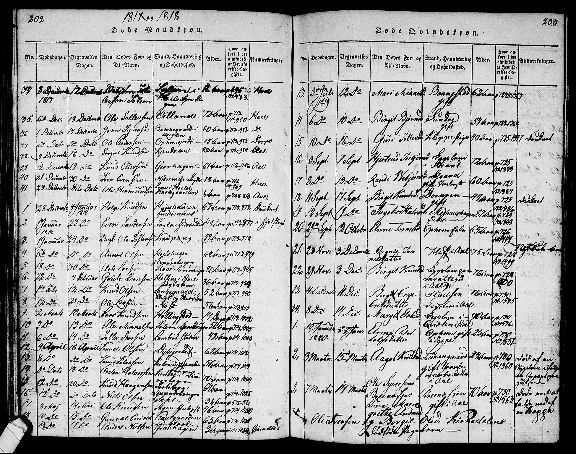 Ål kirkebøker, AV/SAKO-A-249/G/Ga/L0001: Klokkerbok nr. 1, 1815-1829, s. 202-203