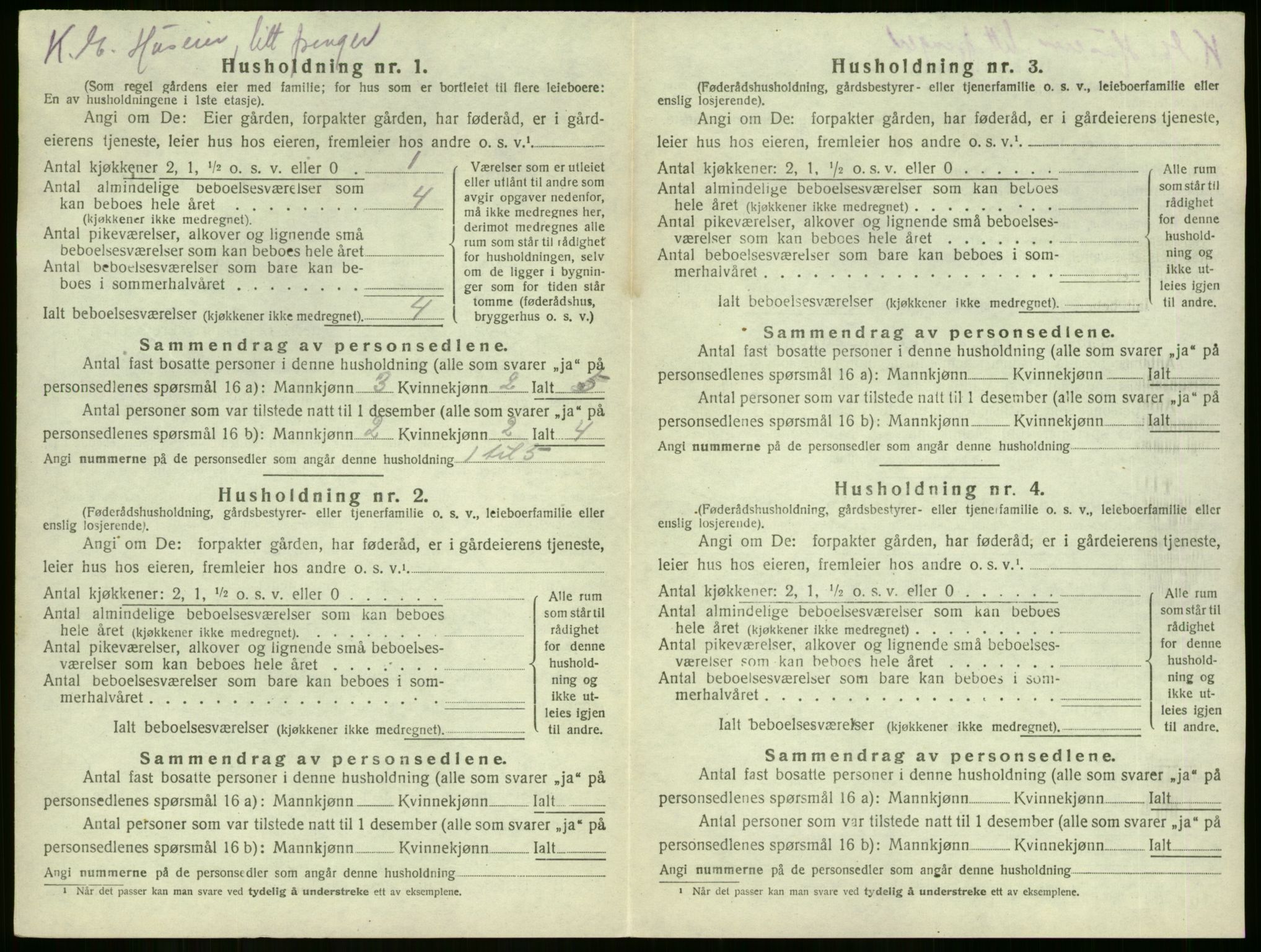 SAKO, Folketelling 1920 for 0721 Sem herred, 1920, s. 2077