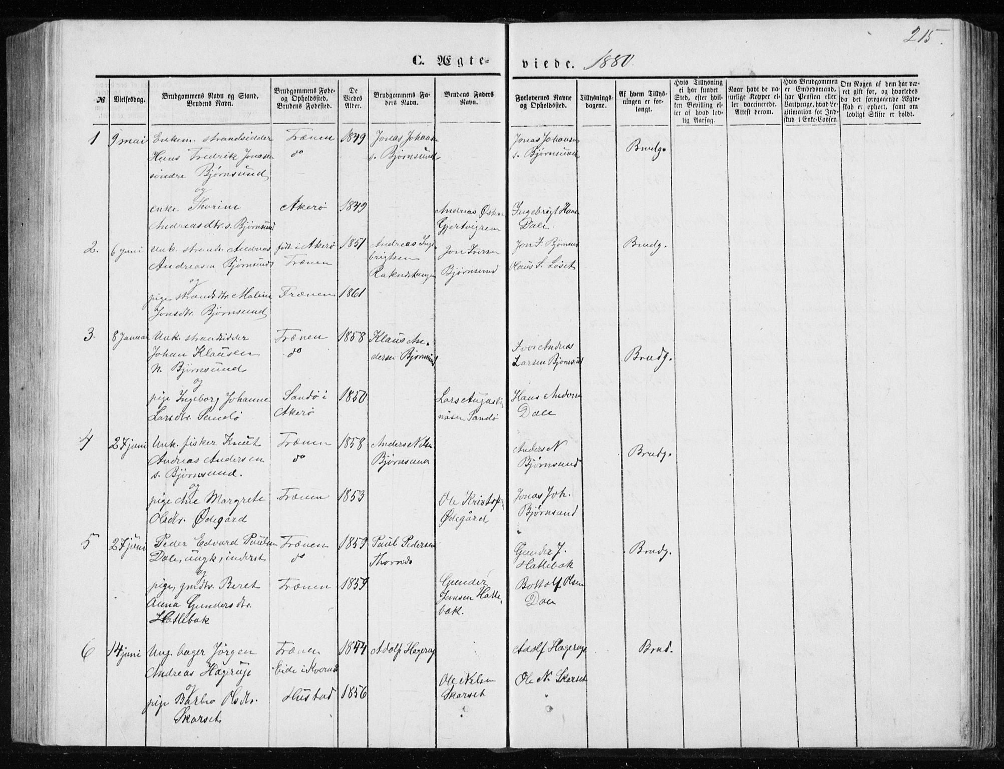 Ministerialprotokoller, klokkerbøker og fødselsregistre - Møre og Romsdal, AV/SAT-A-1454/565/L0754: Klokkerbok nr. 565C03, 1870-1896, s. 215