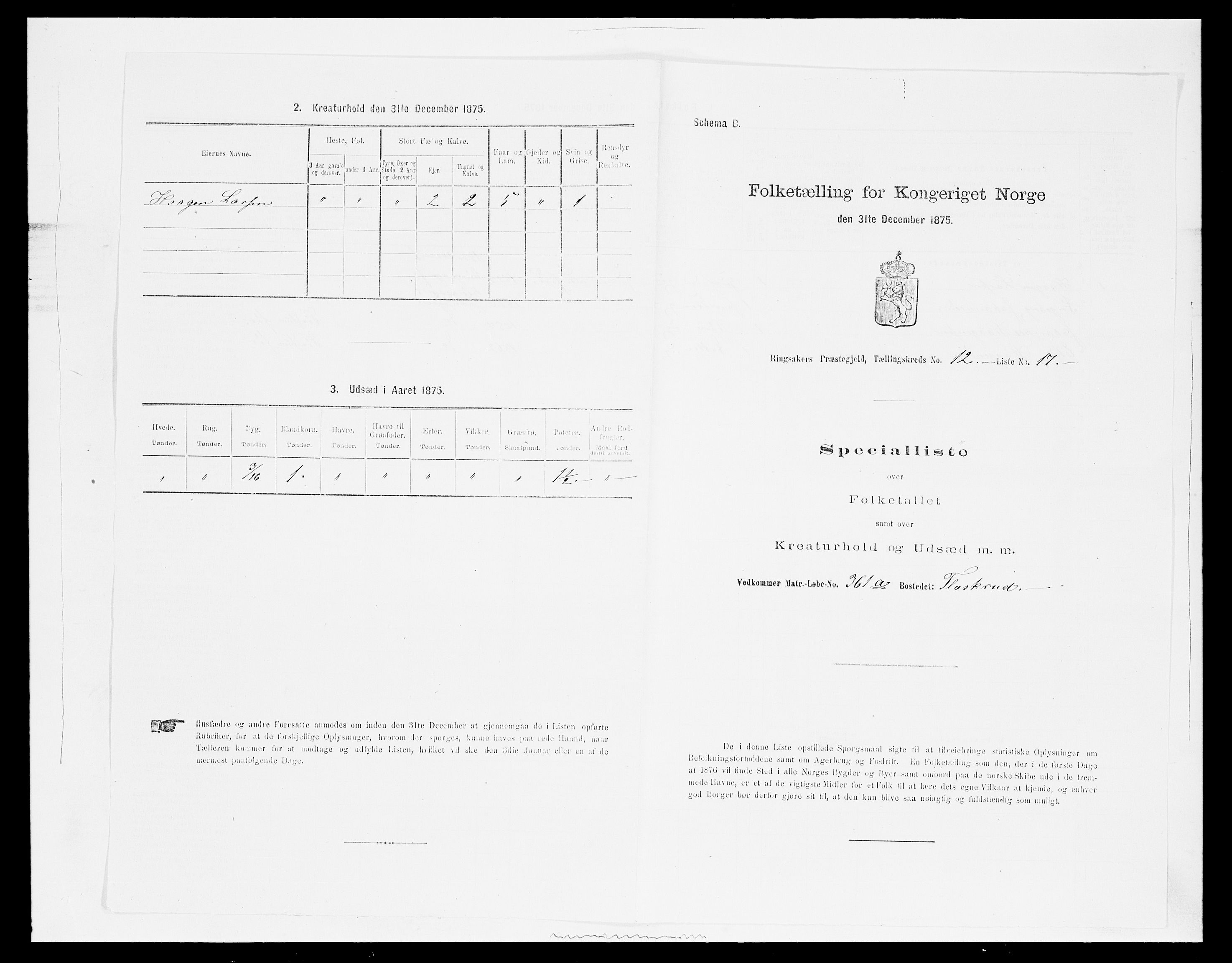 SAH, Folketelling 1875 for 0412P Ringsaker prestegjeld, 1875, s. 2443