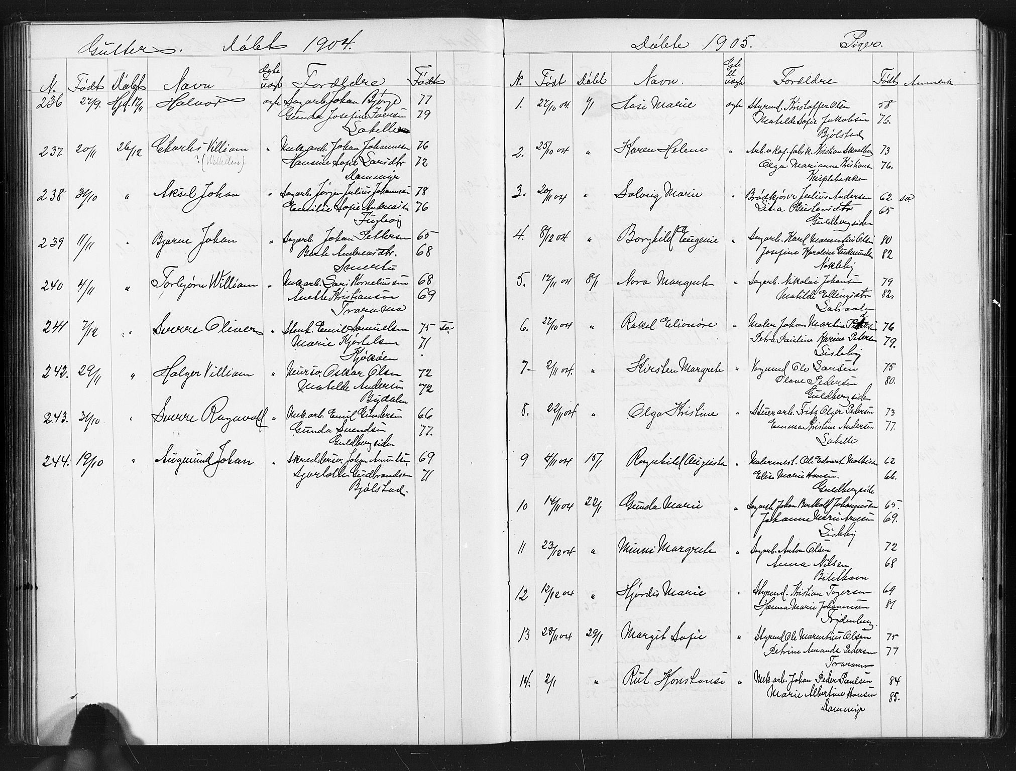 Glemmen prestekontor Kirkebøker, AV/SAO-A-10908/G/Ga/L0006: Klokkerbok nr. 6, 1894-1908