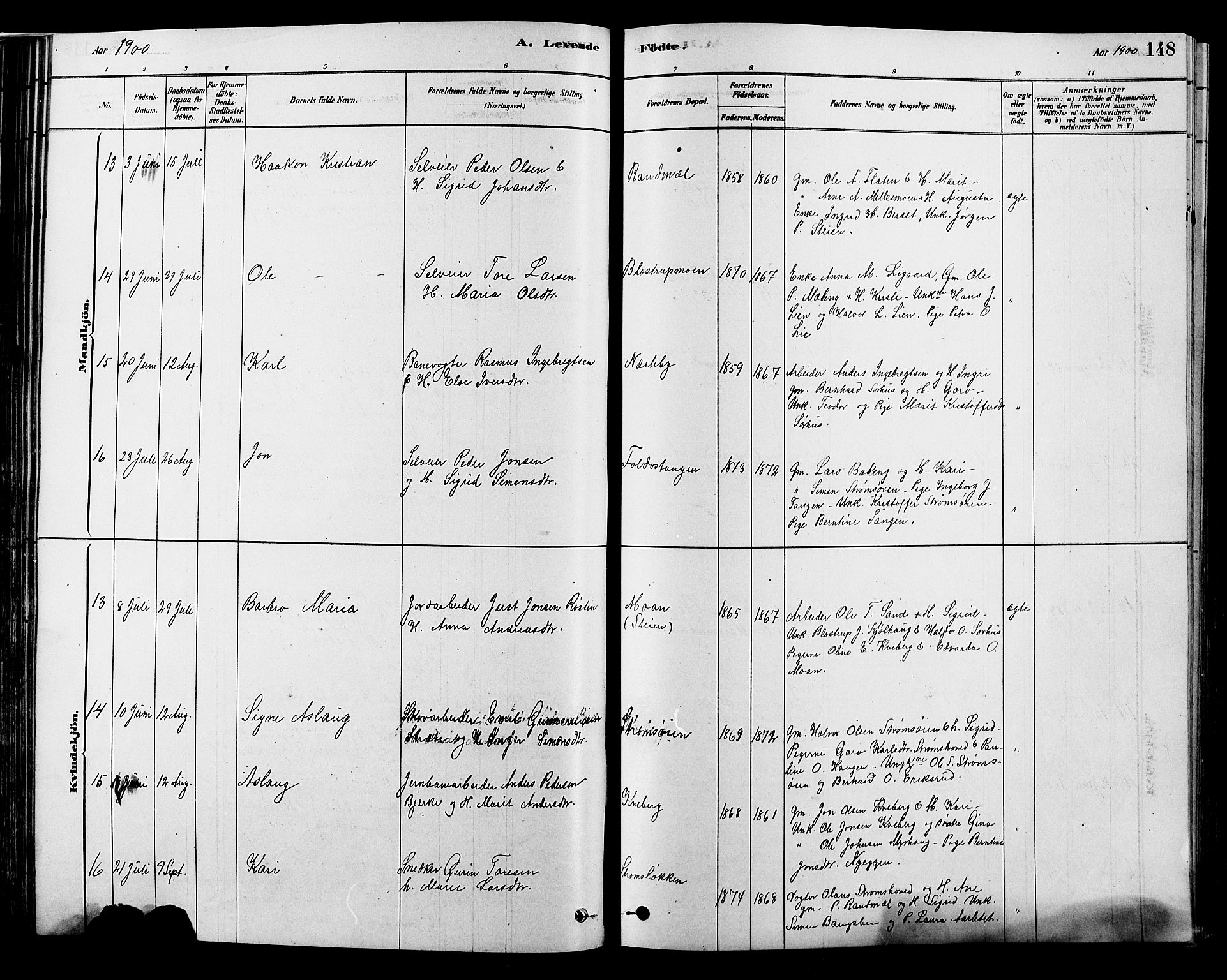 Alvdal prestekontor, AV/SAH-PREST-060/H/Ha/Hab/L0003: Klokkerbok nr. 3, 1878-1907, s. 148