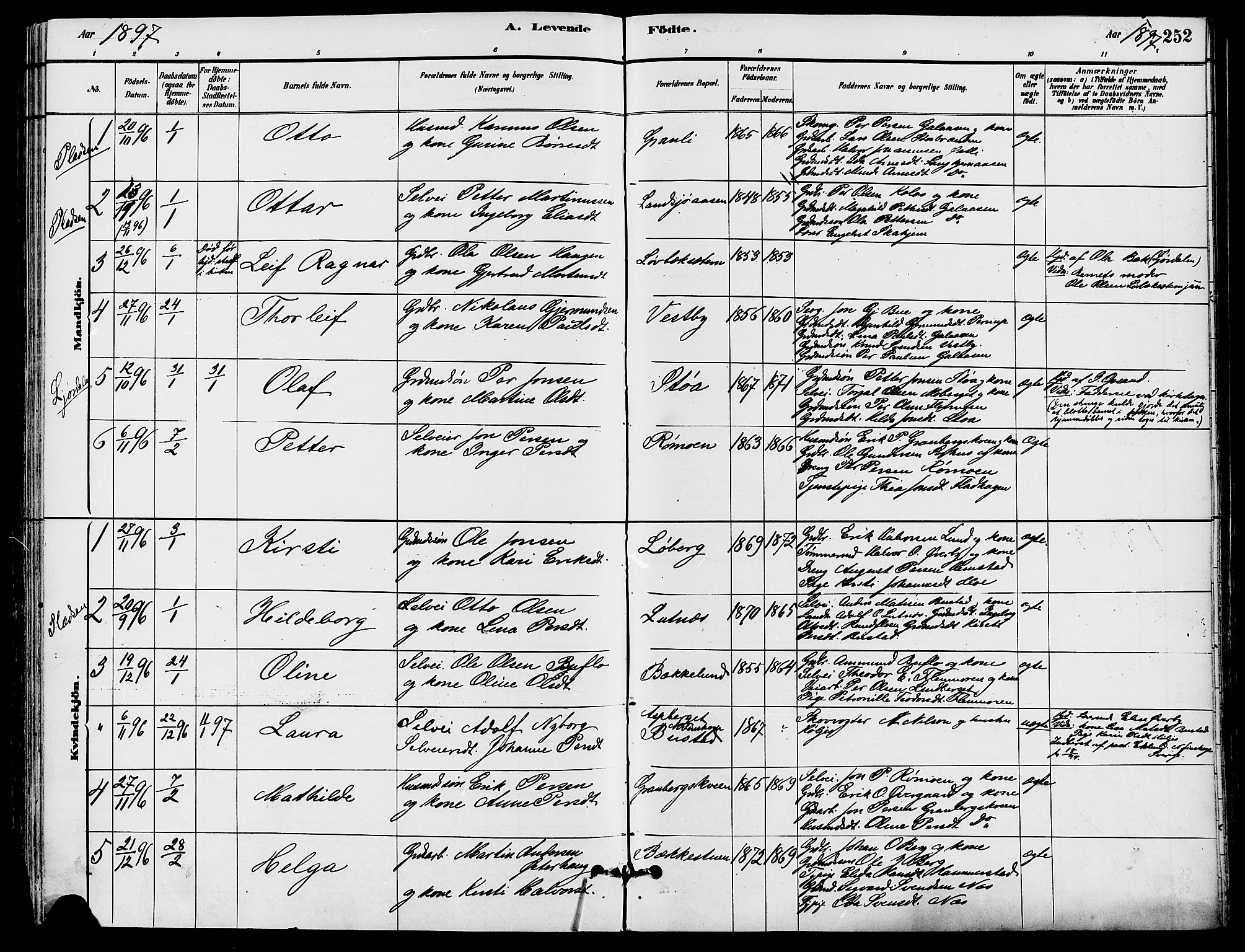 Trysil prestekontor, AV/SAH-PREST-046/H/Ha/Haa/L0008: Ministerialbok nr. 8, 1881-1897, s. 252