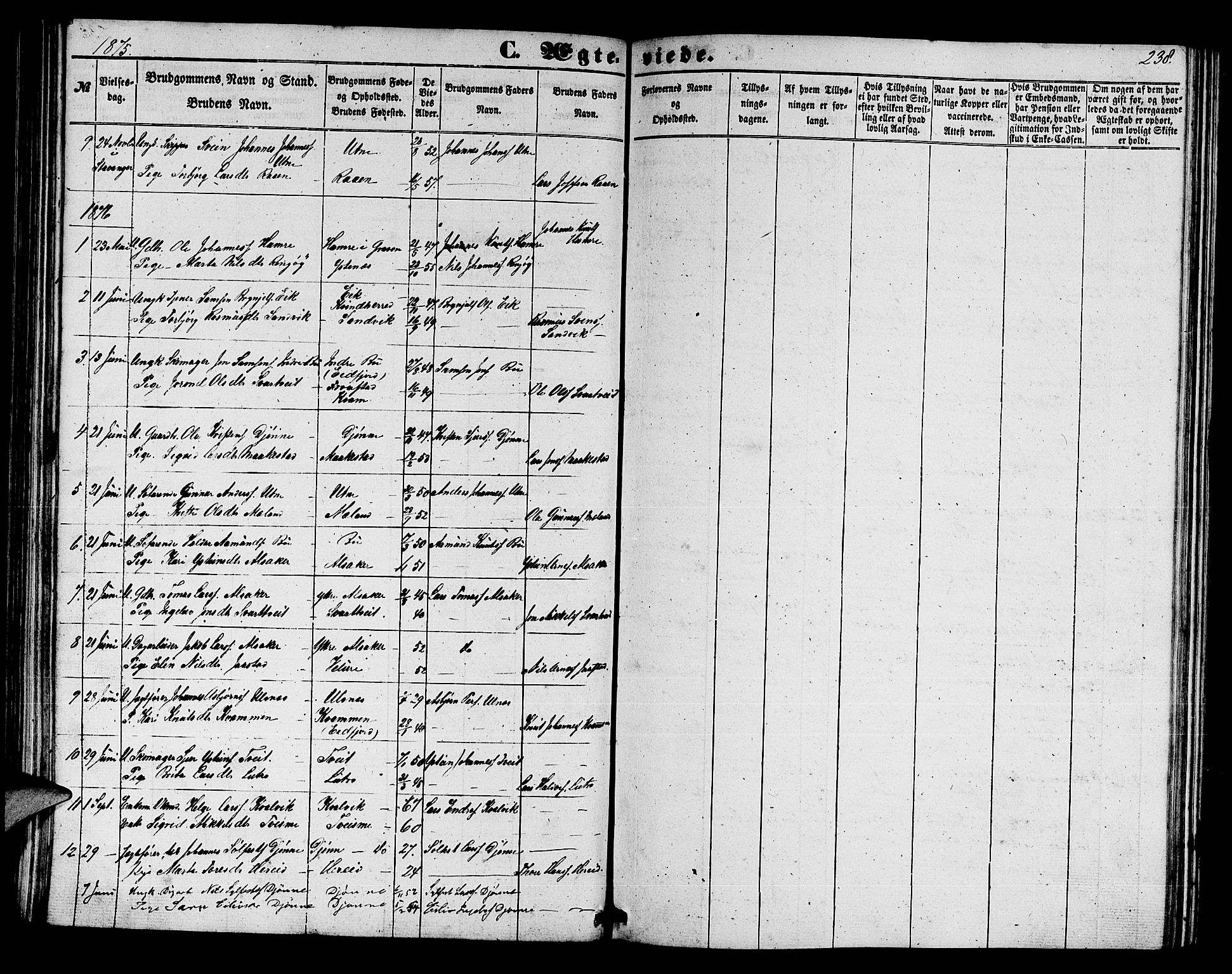 Ullensvang sokneprestembete, AV/SAB-A-78701/H/Hab: Klokkerbok nr. E 6, 1857-1886, s. 238