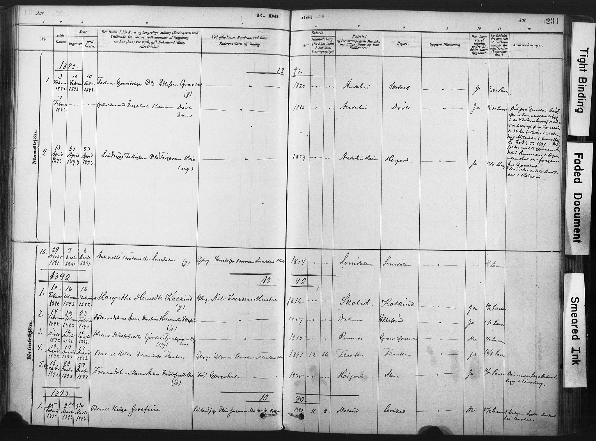 Andebu kirkebøker, AV/SAKO-A-336/F/Fa/L0007: Ministerialbok nr. I 7, 1878-1899, s. 231