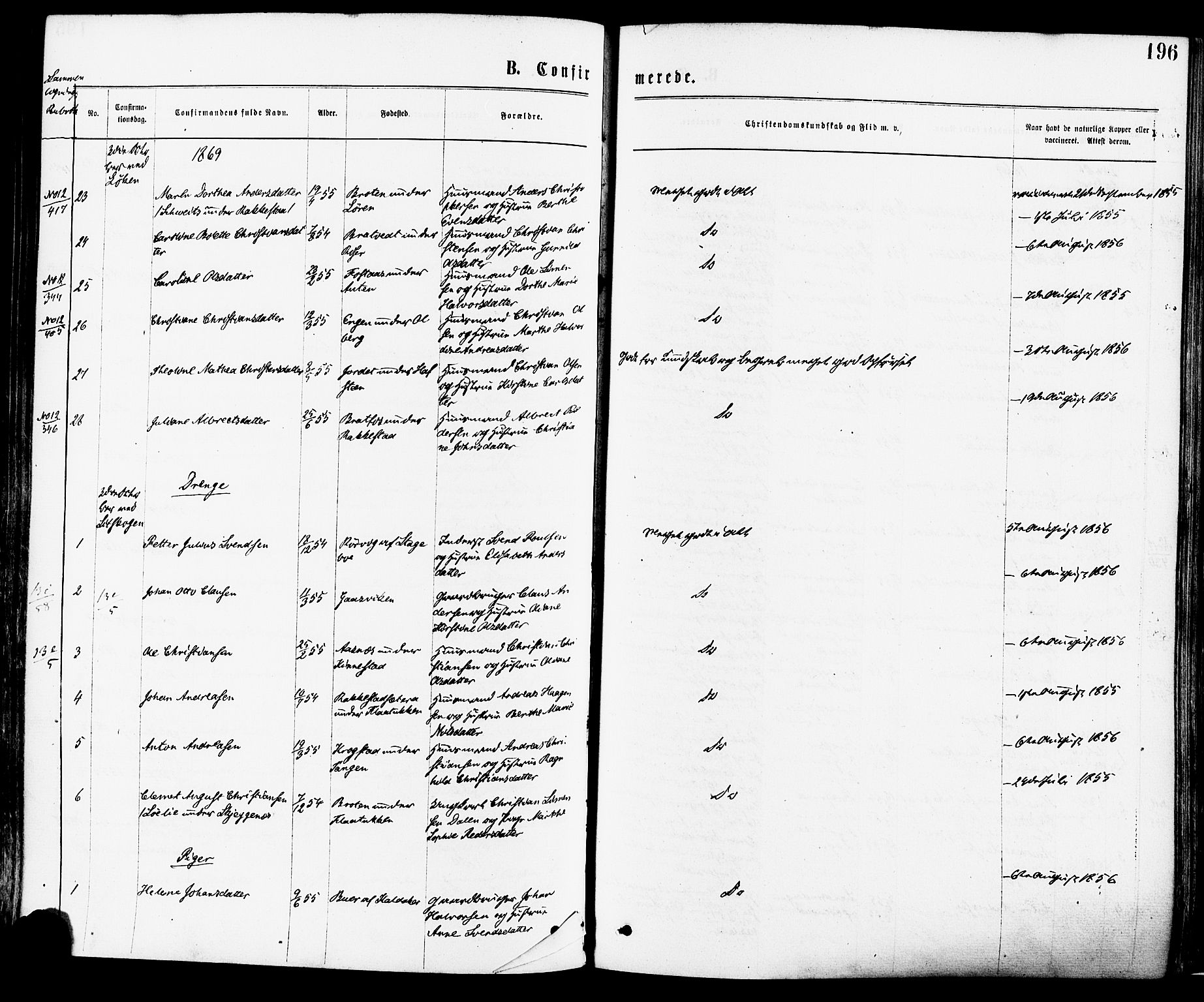 Høland prestekontor Kirkebøker, SAO/A-10346a/F/Fa/L0012.a: Ministerialbok nr. I 12A, 1869-1879, s. 196