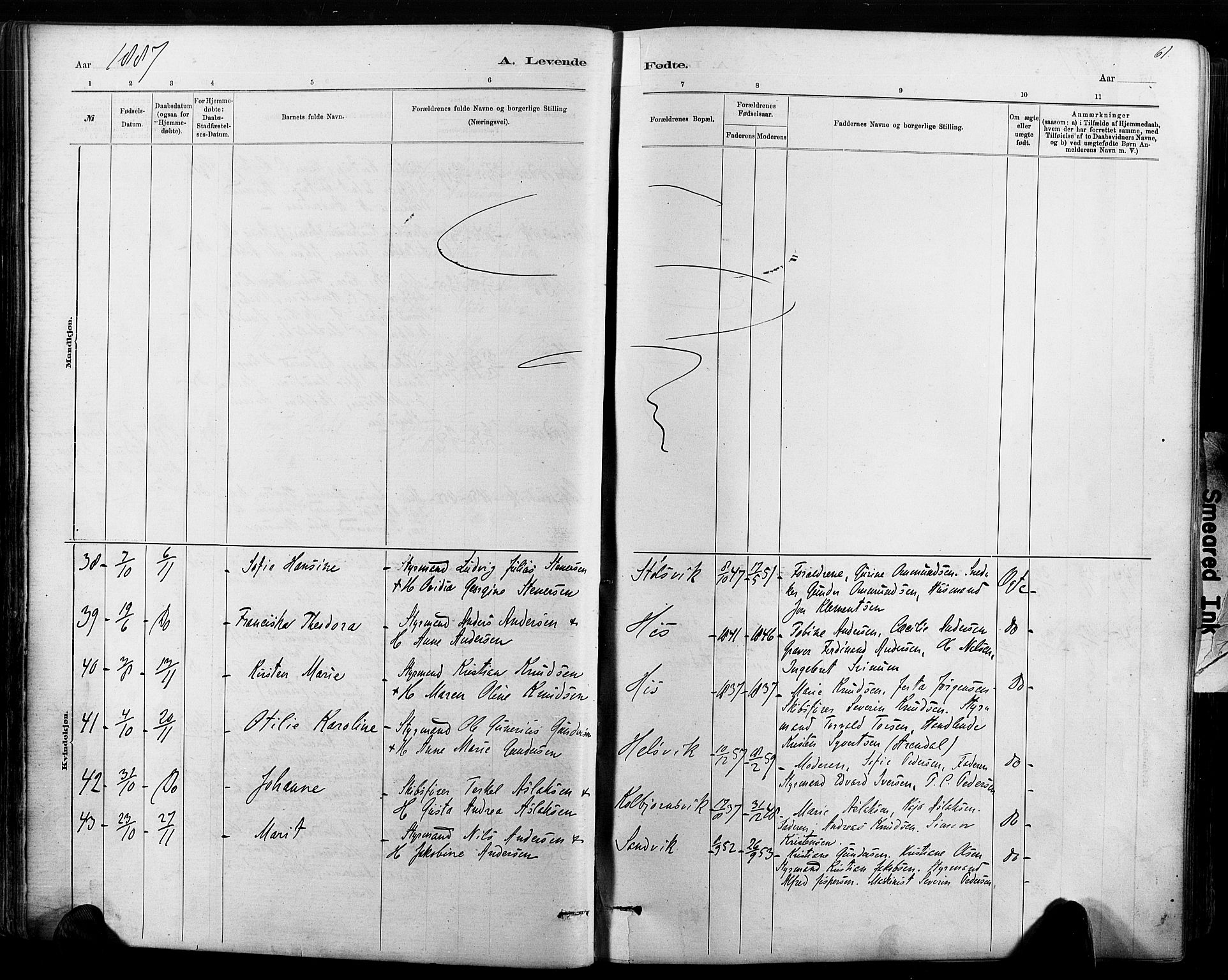 Hisøy sokneprestkontor, AV/SAK-1111-0020/F/Fa/L0003: Ministerialbok nr. A 3, 1881-1894, s. 61