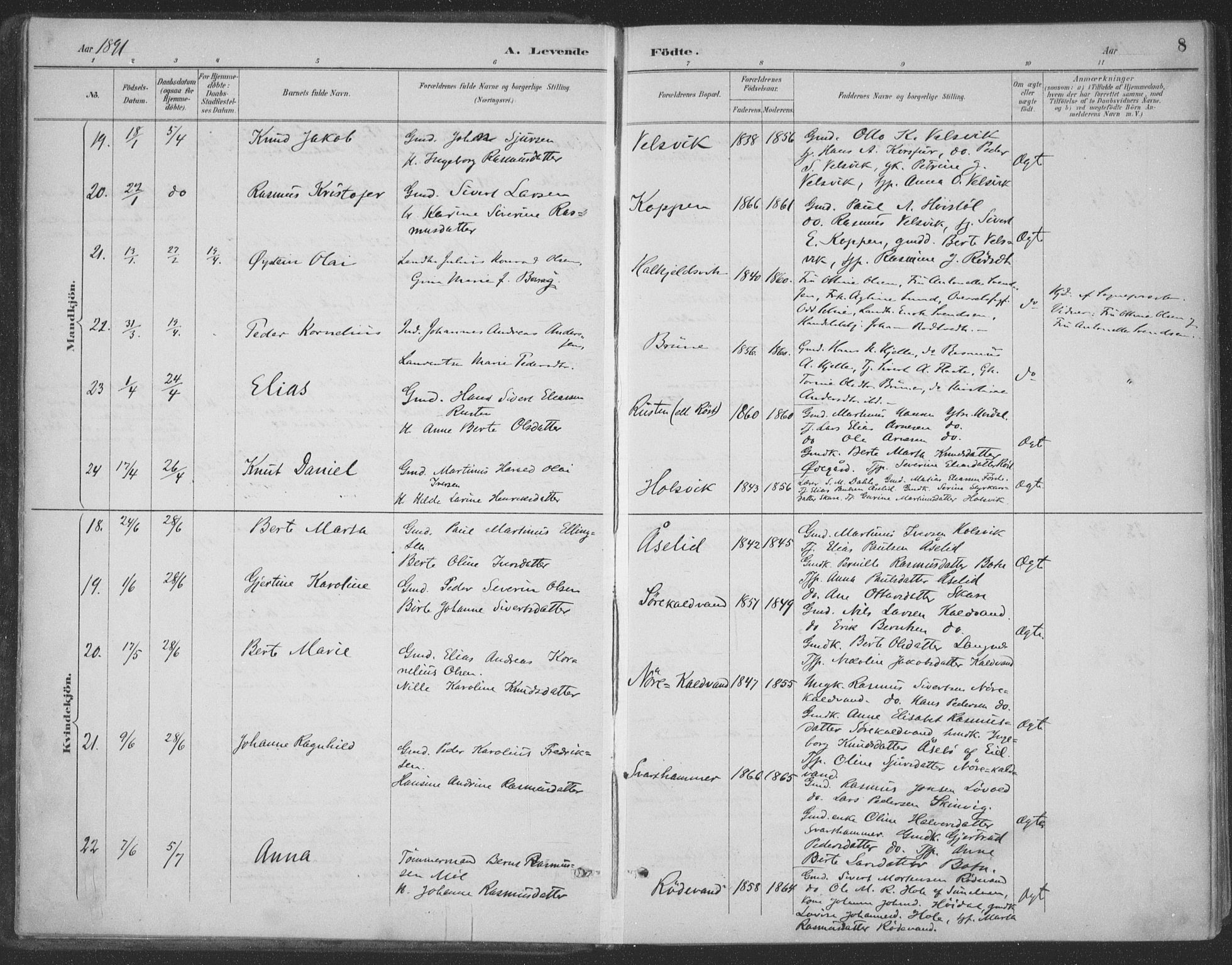Ministerialprotokoller, klokkerbøker og fødselsregistre - Møre og Romsdal, AV/SAT-A-1454/511/L0142: Ministerialbok nr. 511A09, 1891-1905, s. 8