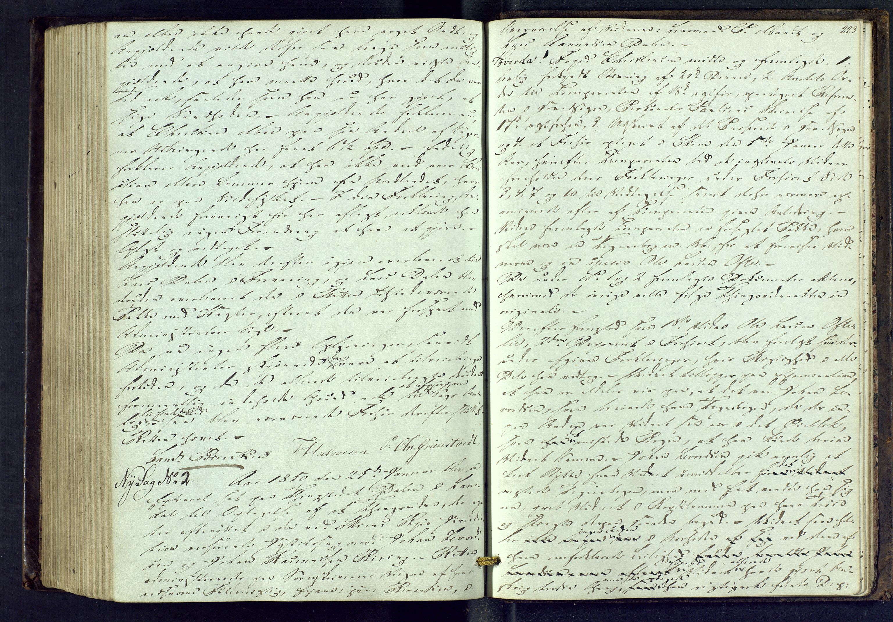 Vest-Telemark sorenskriveri, AV/SAKO-A-134/F/Fd/Fdb/L0004: Ekstrarettsprotokoll, 1847-1850, s. 223