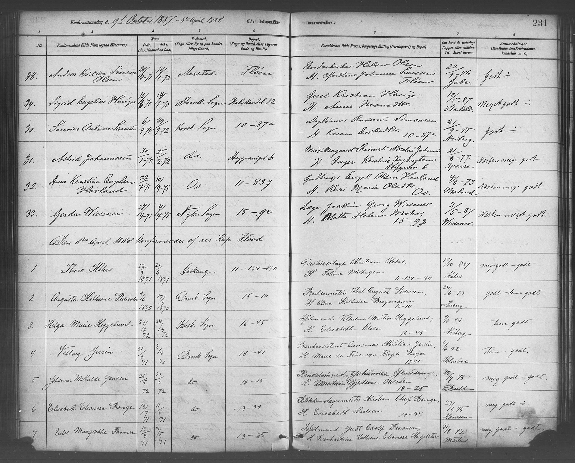 Domkirken sokneprestembete, AV/SAB-A-74801/H/Haa/L0030: Ministerialbok nr. C 5, 1880-1898, s. 231