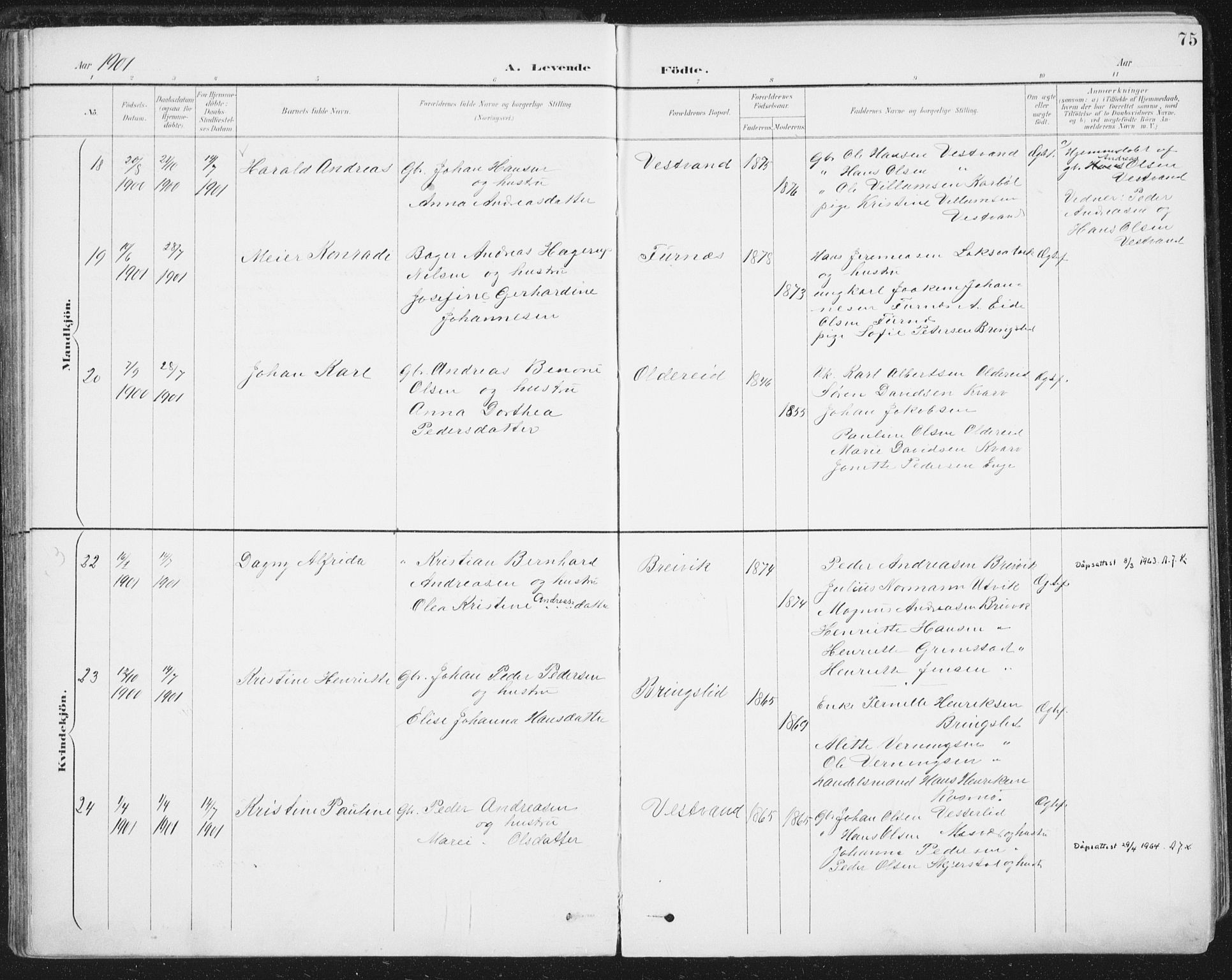 Ministerialprotokoller, klokkerbøker og fødselsregistre - Nordland, SAT/A-1459/852/L0741: Ministerialbok nr. 852A11, 1894-1917, s. 75