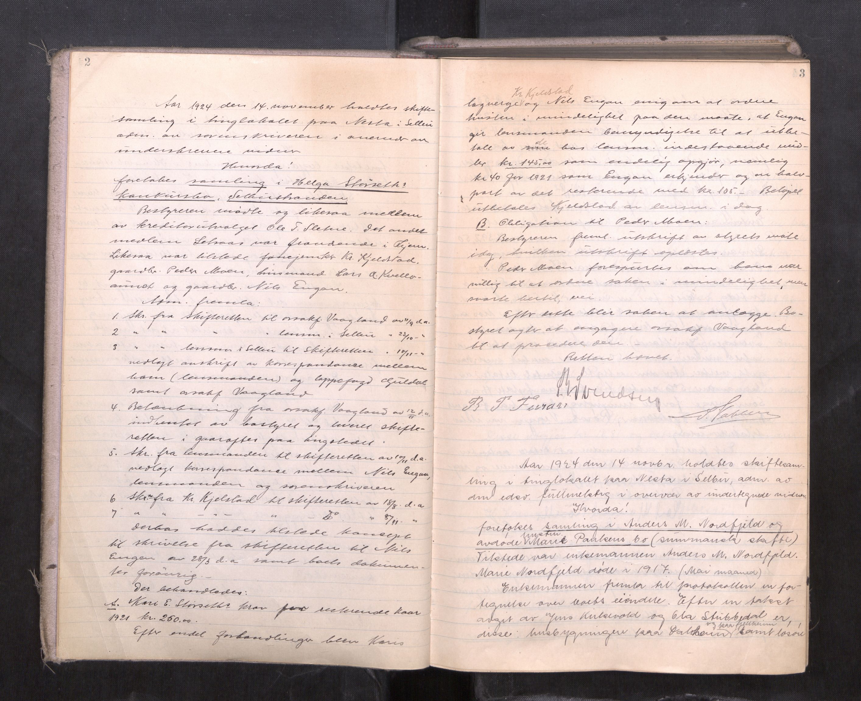 Strinda og Selbu sorenskriveri, AV/SAT-A-0015/3/3B/L0015: Skifteforhandlingsprot. 15, 1924-1927, s. 2-3