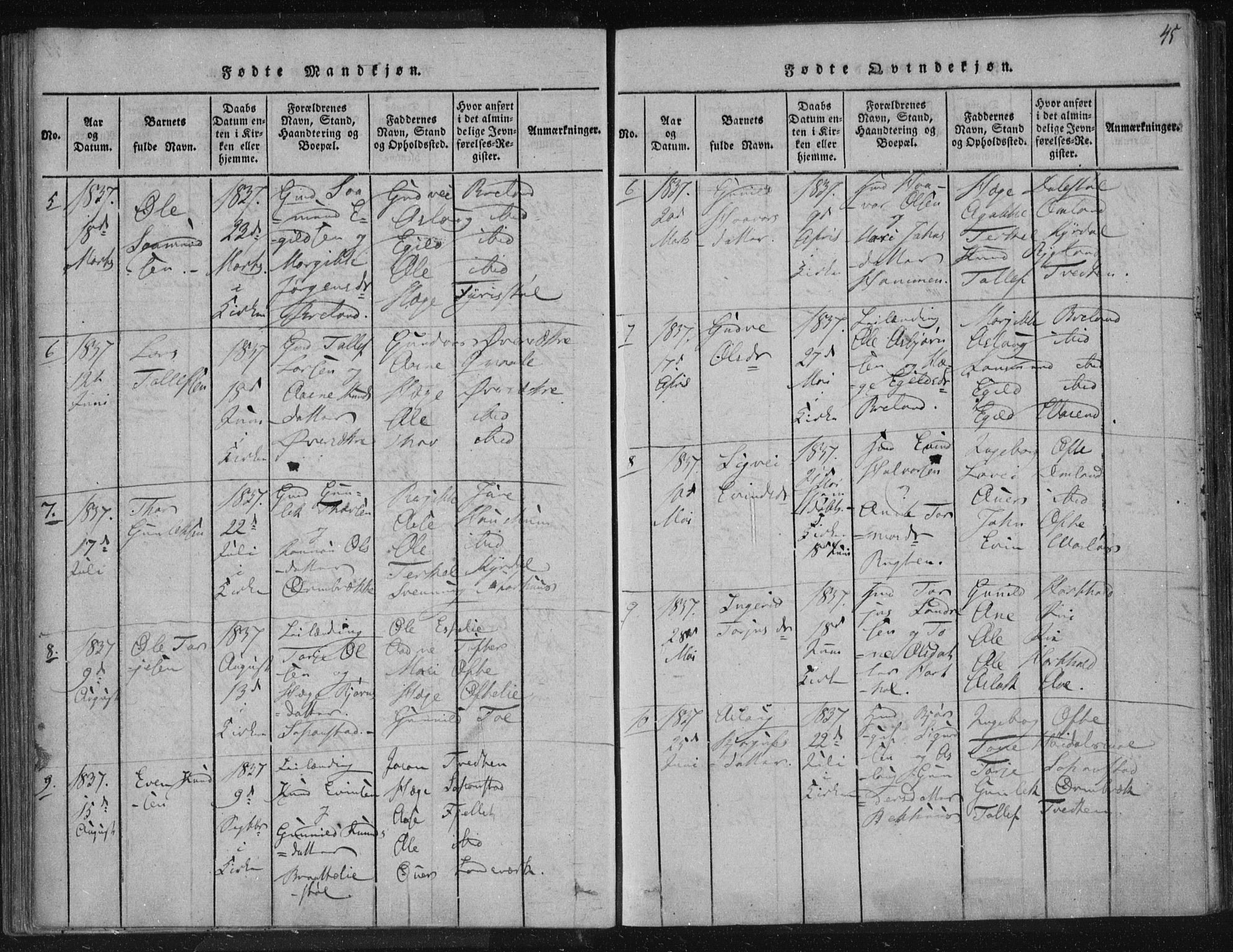 Lårdal kirkebøker, SAKO/A-284/F/Fc/L0001: Ministerialbok nr. III 1, 1815-1860, s. 45