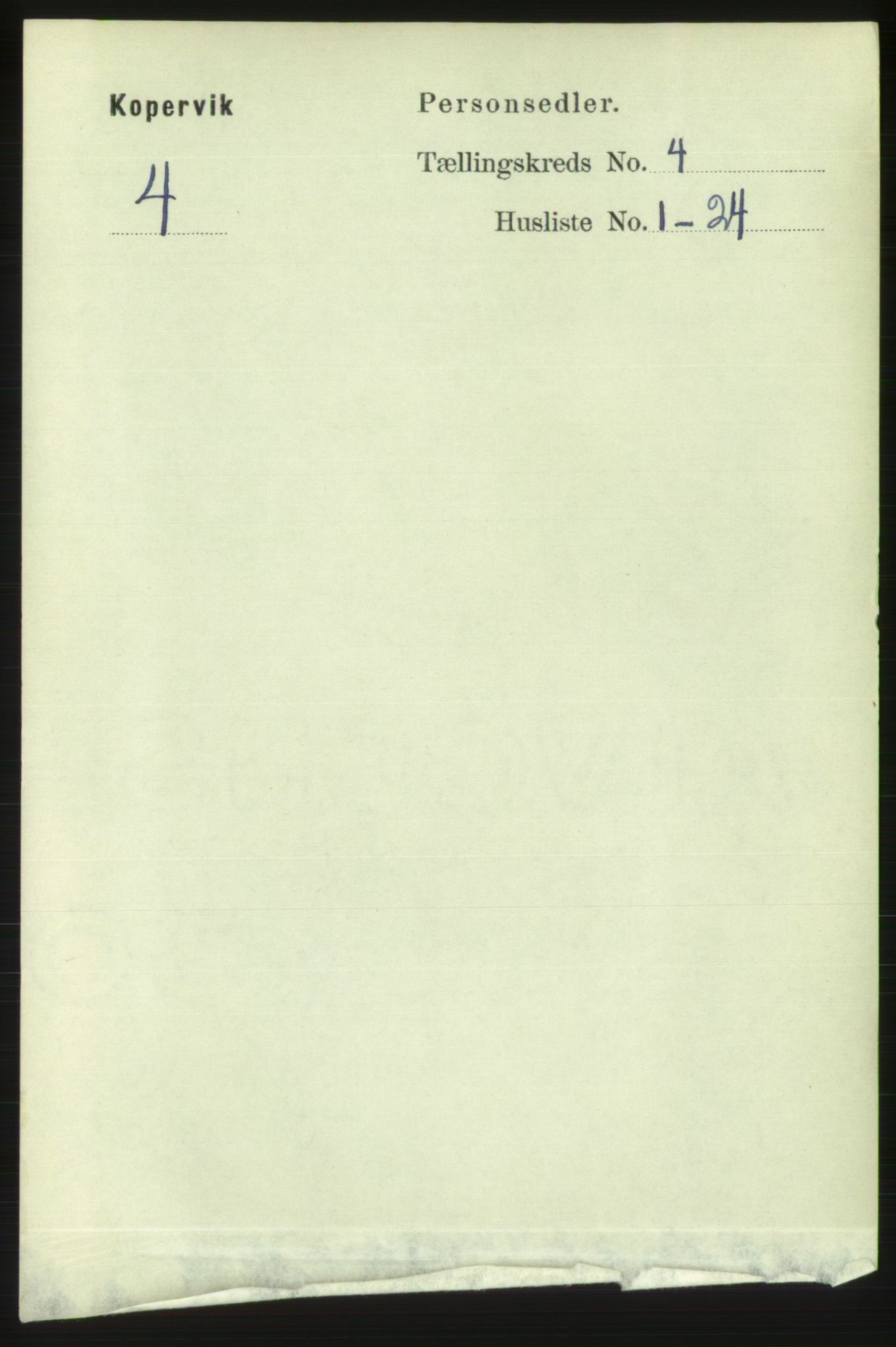 RA, Folketelling 1891 for 1105 Kopervik ladested, 1891, s. 376