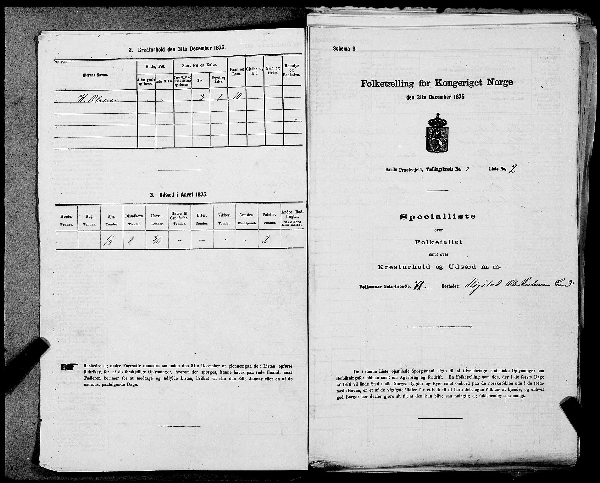 SAST, Folketelling 1875 for 1136P Sand prestegjeld, 1875, s. 1011