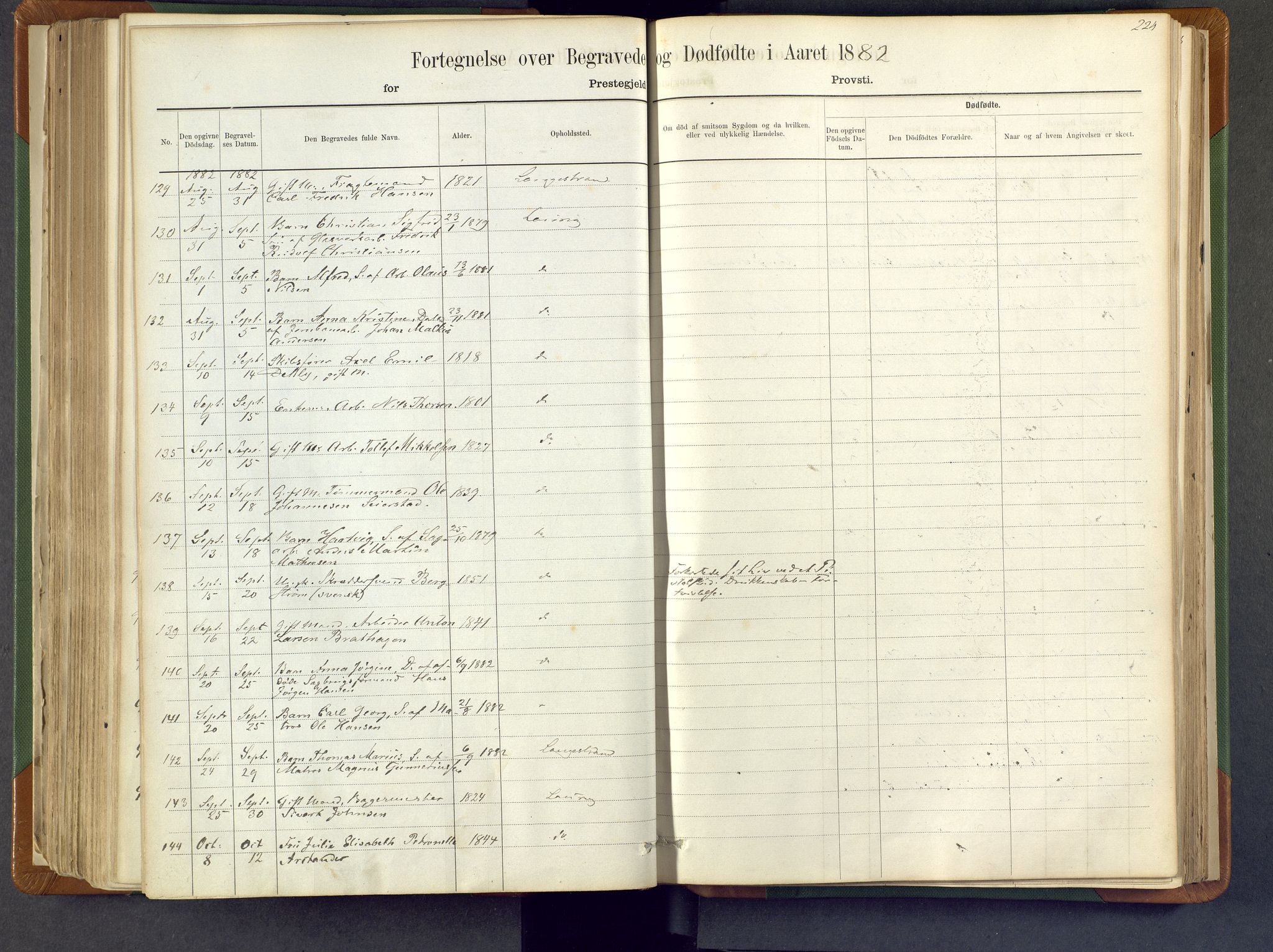 Larvik kirkebøker, AV/SAKO-A-352/F/Fa/L0007: Ministerialbok nr. I 7, 1871-1883, s. 224