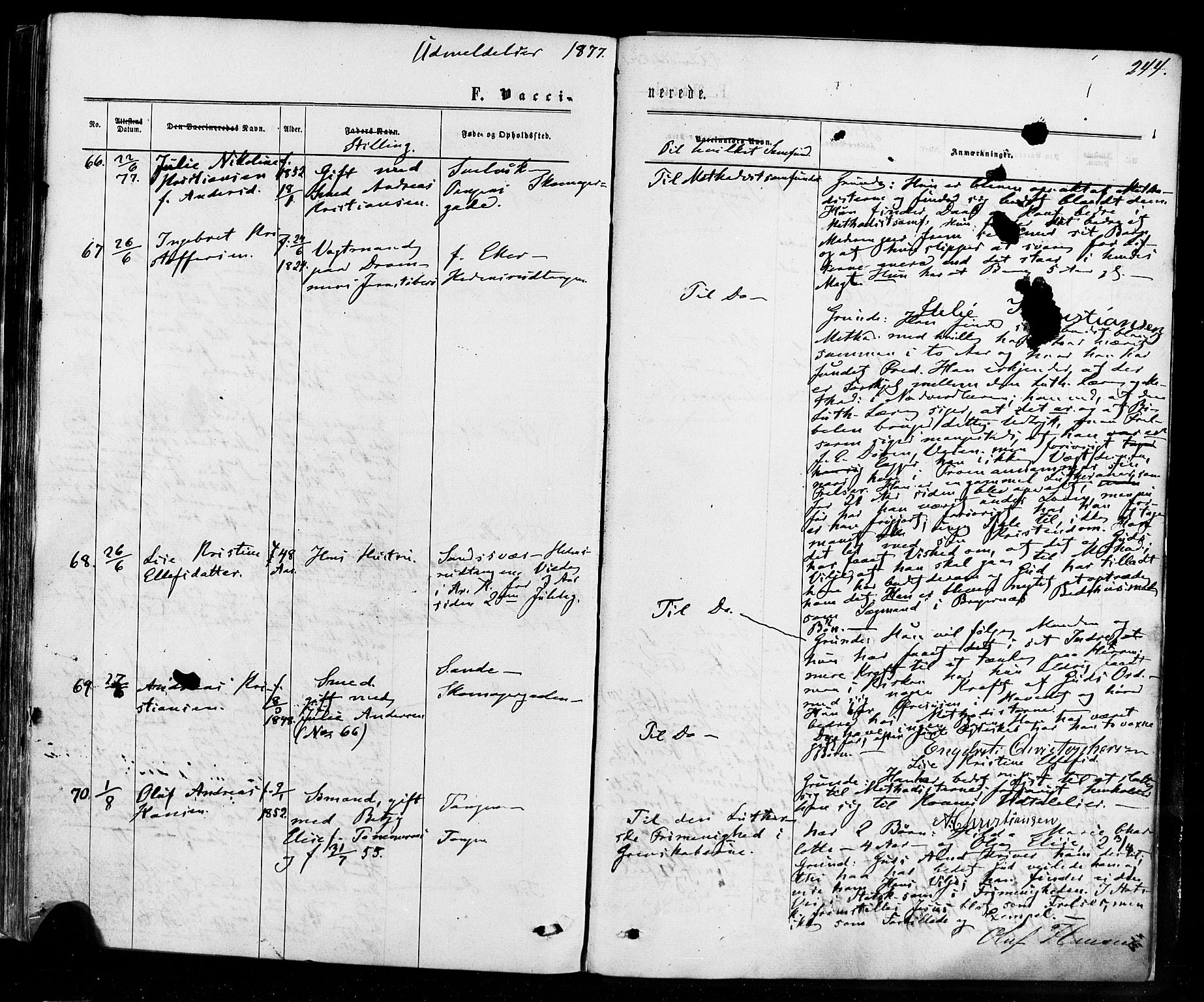 Strømsø kirkebøker, AV/SAKO-A-246/F/Fa/L0018: Ministerialbok nr. I 18, 1865-1878, s. 244