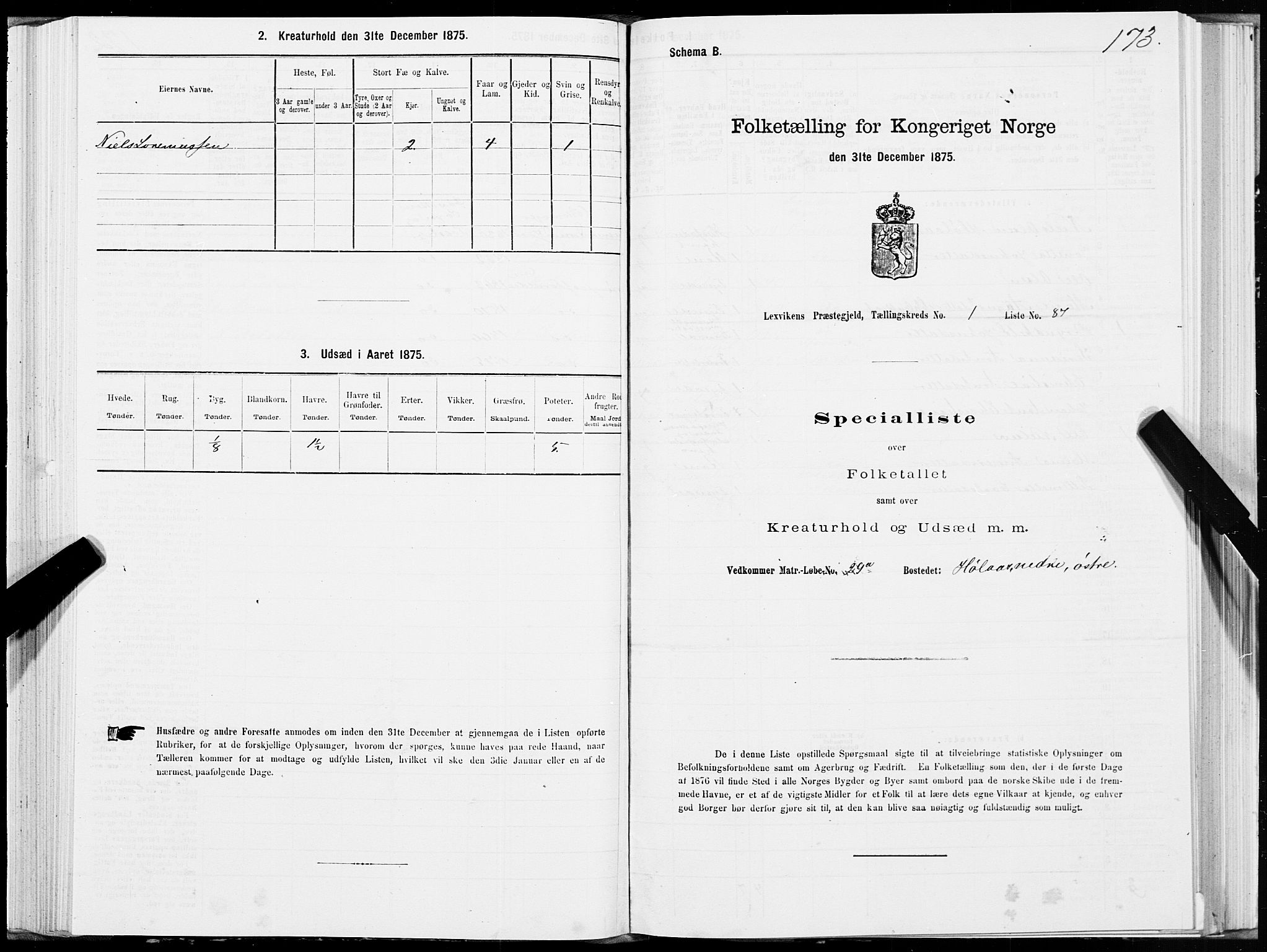 SAT, Folketelling 1875 for 1718P Leksvik prestegjeld, 1875, s. 1173