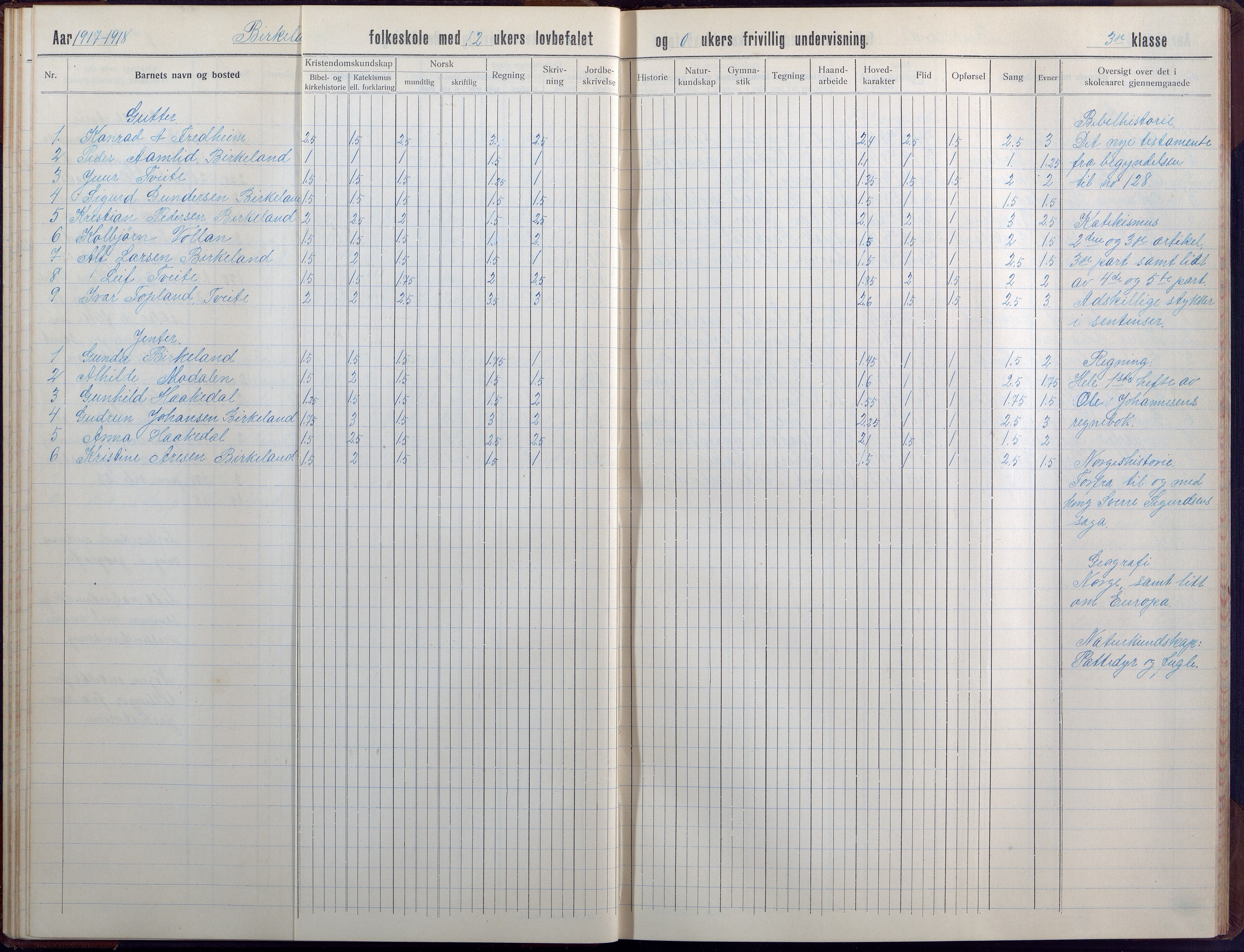 Birkenes kommune, Birkenes krets/Birkeland folkeskole frem til 1991, AAKS/KA0928-550a_91/F02/L0008: Skoleprotokoll, 1911-1930