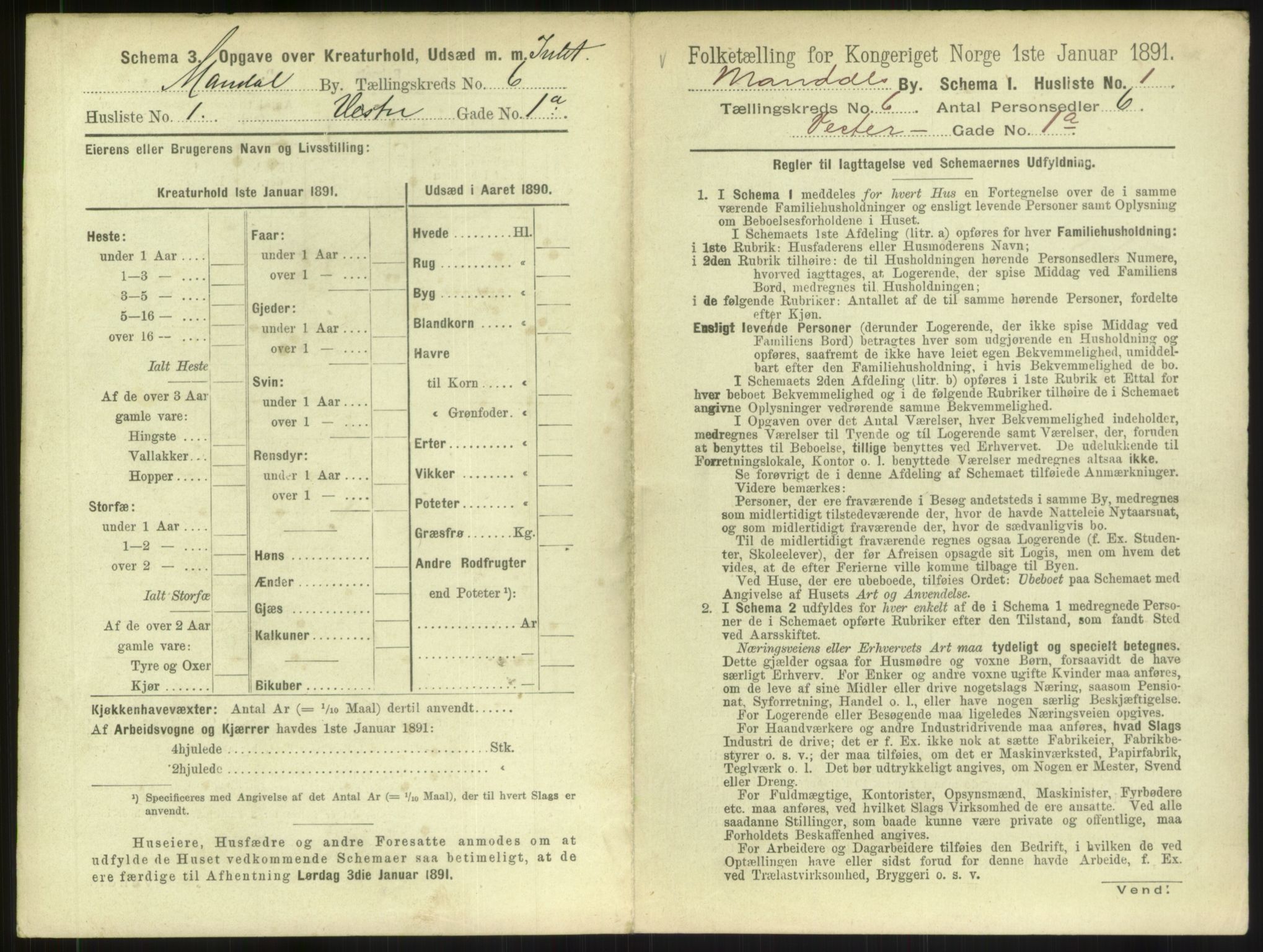 RA, Folketelling 1891 for 1002 Mandal ladested, 1891, s. 301