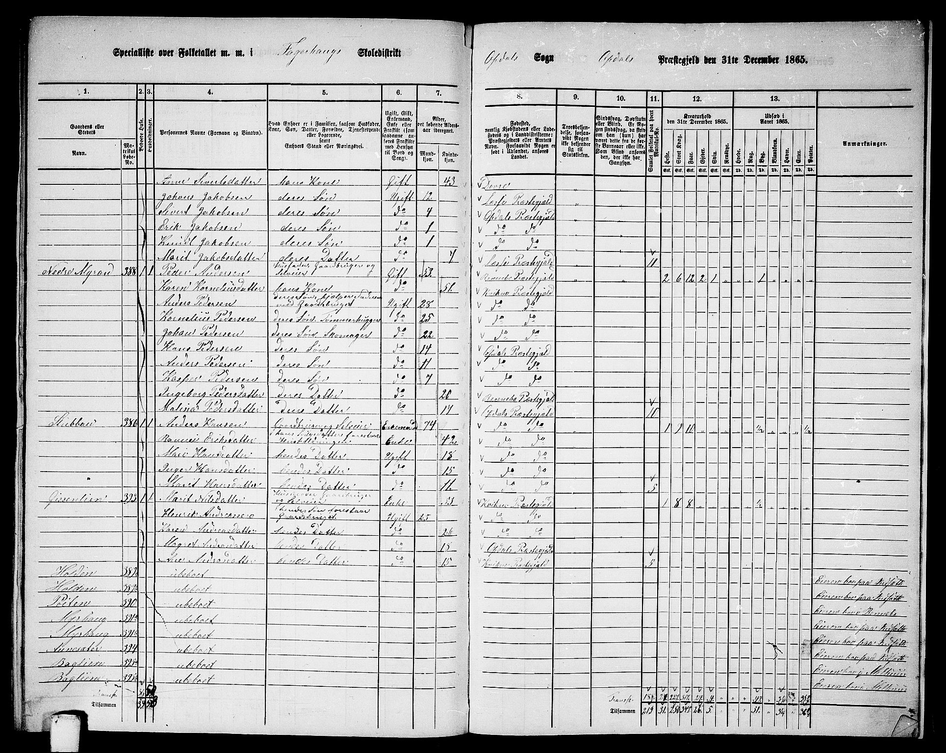 RA, Folketelling 1865 for 1634P Oppdal prestegjeld, 1865, s. 193