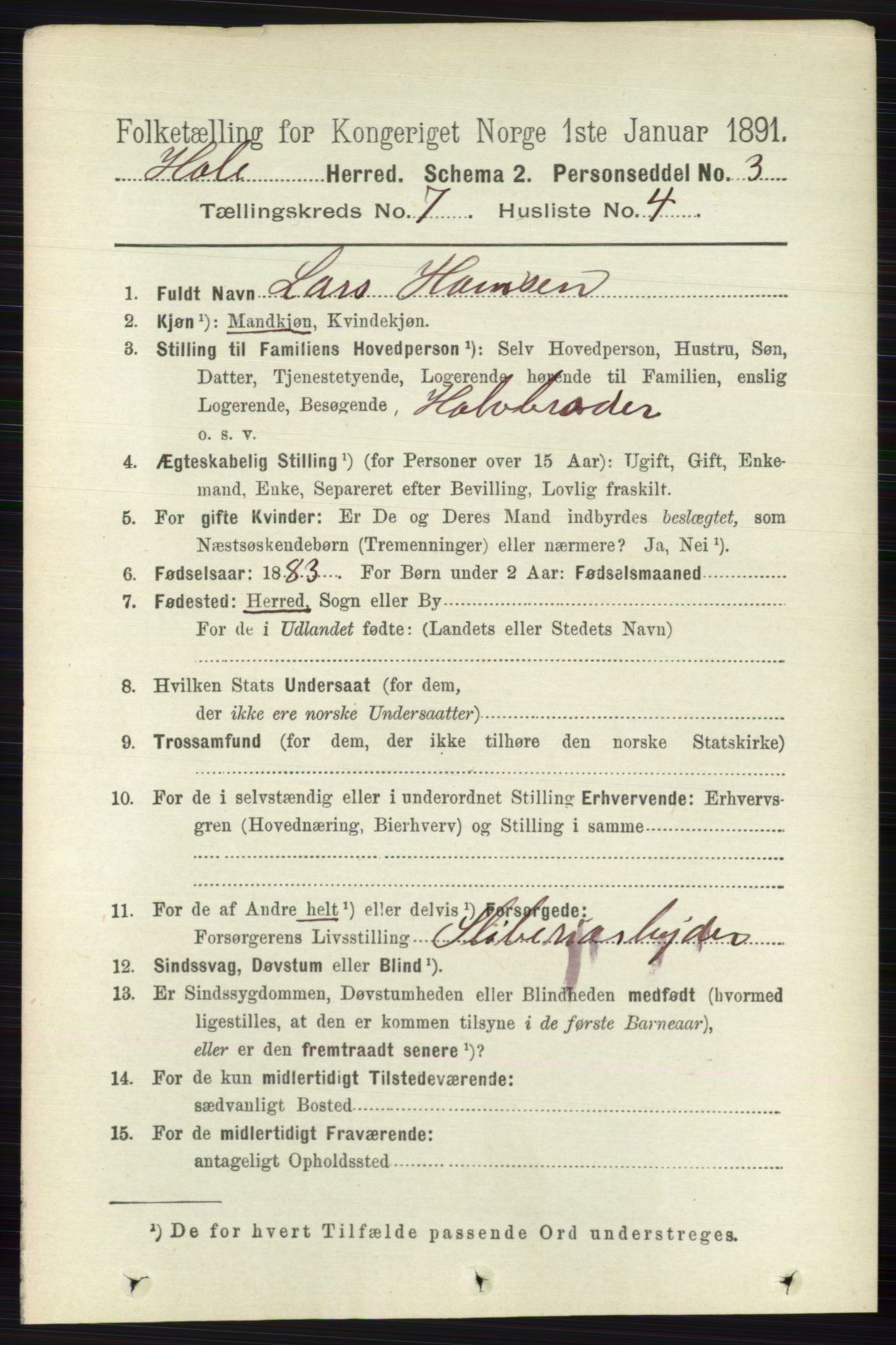 RA, Folketelling 1891 for 0612 Hole herred, 1891, s. 4005