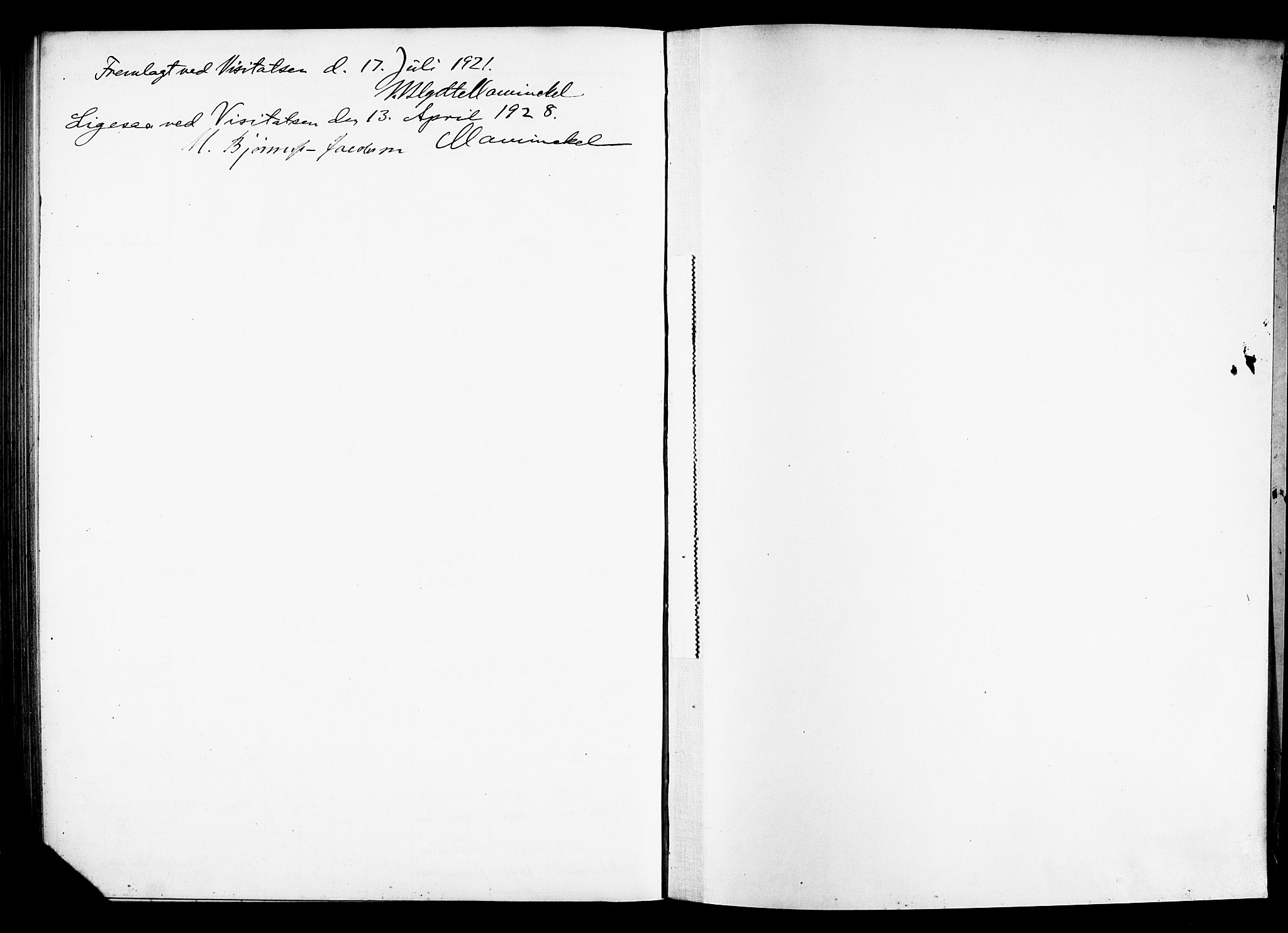 Ringsaker prestekontor, SAH/PREST-014/O/Oa/L0001: Fødselsregister nr. 1, 1916-1925