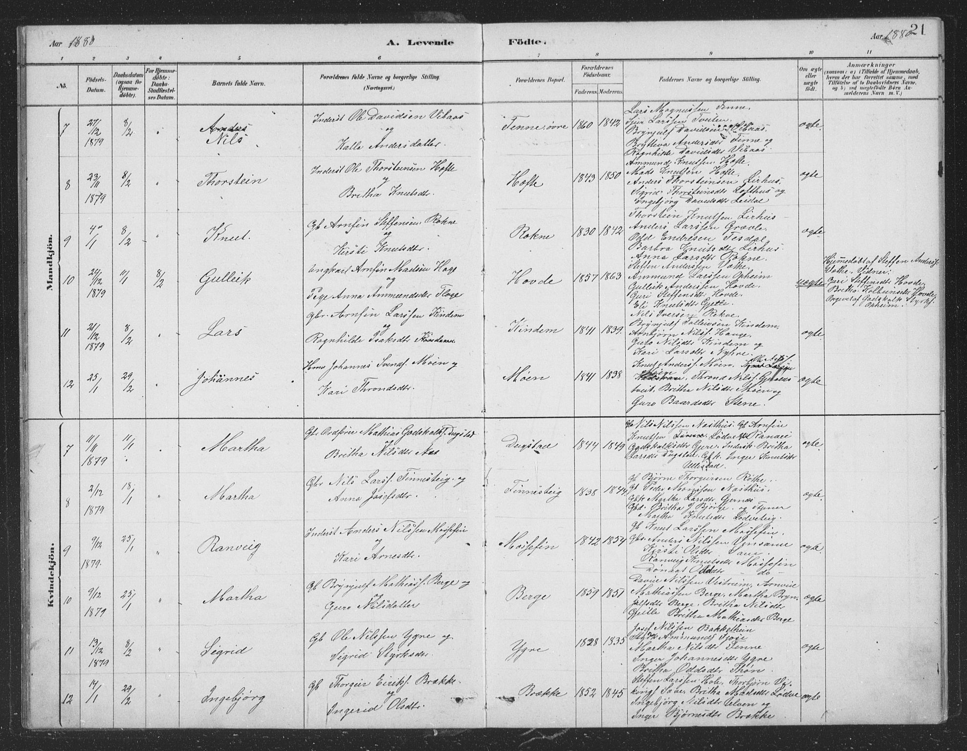 Voss sokneprestembete, AV/SAB-A-79001/H/Hab: Klokkerbok nr. B 3, 1879-1894, s. 21
