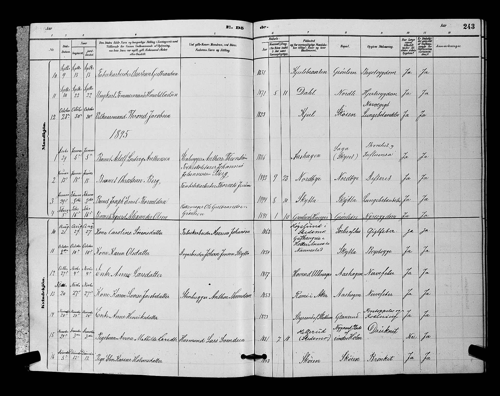 Nittedal prestekontor Kirkebøker, AV/SAO-A-10365a/G/Ga/L0002: Klokkerbok nr. I 2, 1879-1901, s. 243