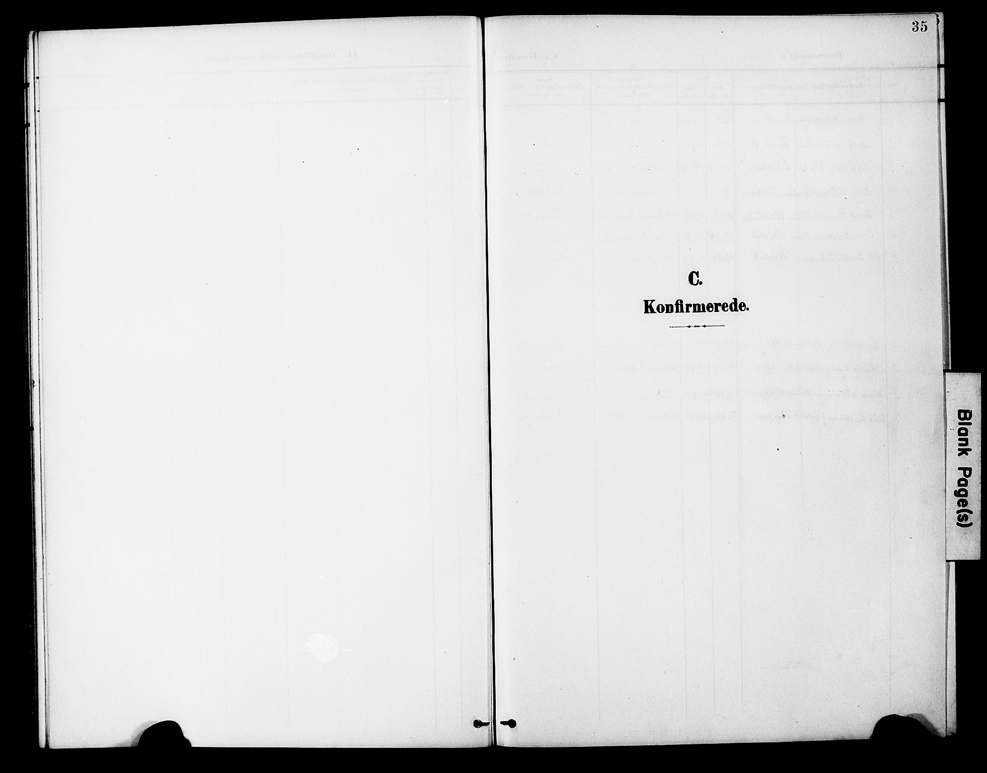 Ministerialprotokoller, klokkerbøker og fødselsregistre - Nord-Trøndelag, AV/SAT-A-1458/746/L0452: Ministerialbok nr. 746A09, 1900-1908, s. 35