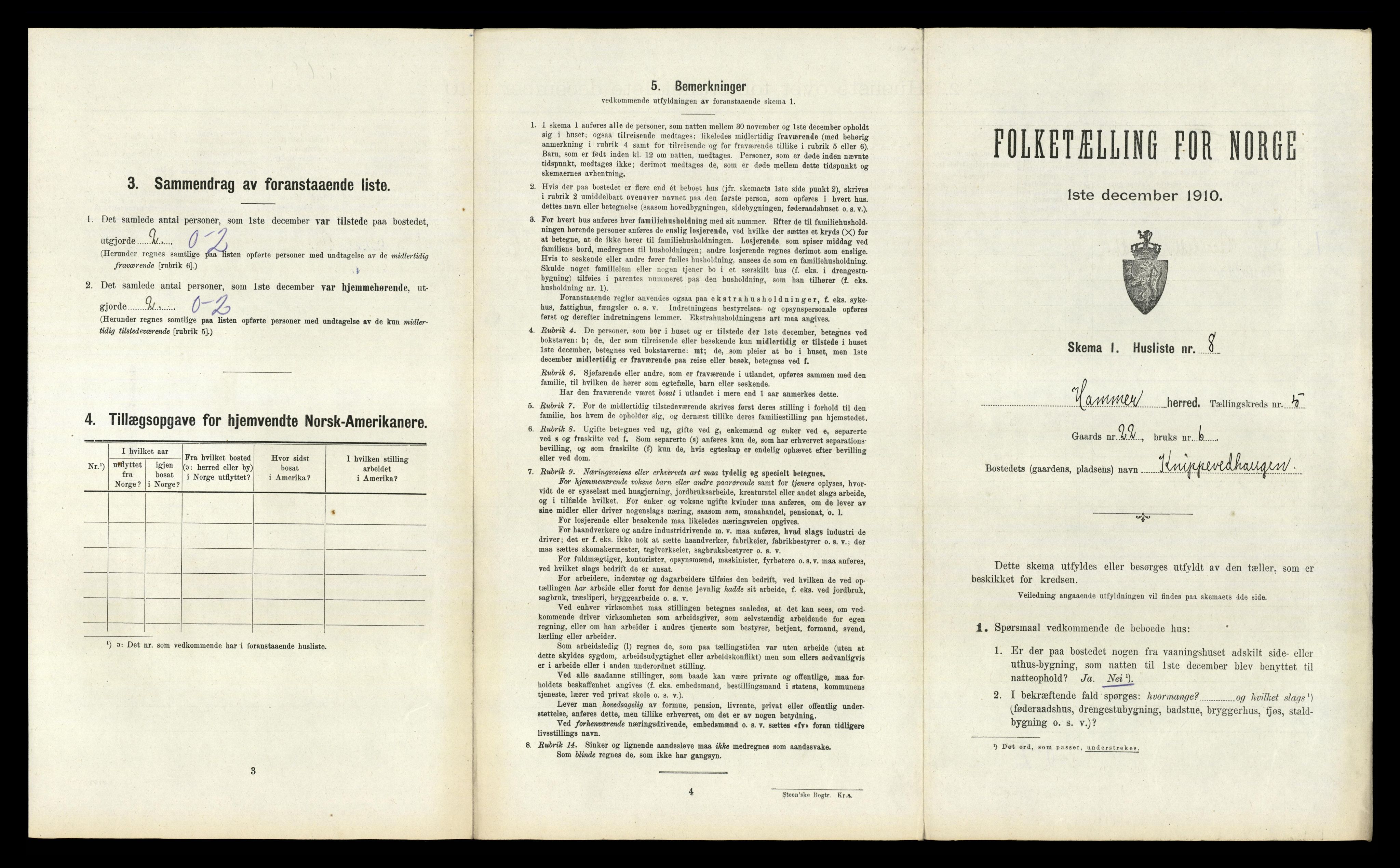 RA, Folketelling 1910 for 1254 Hamre herred, 1910, s. 316