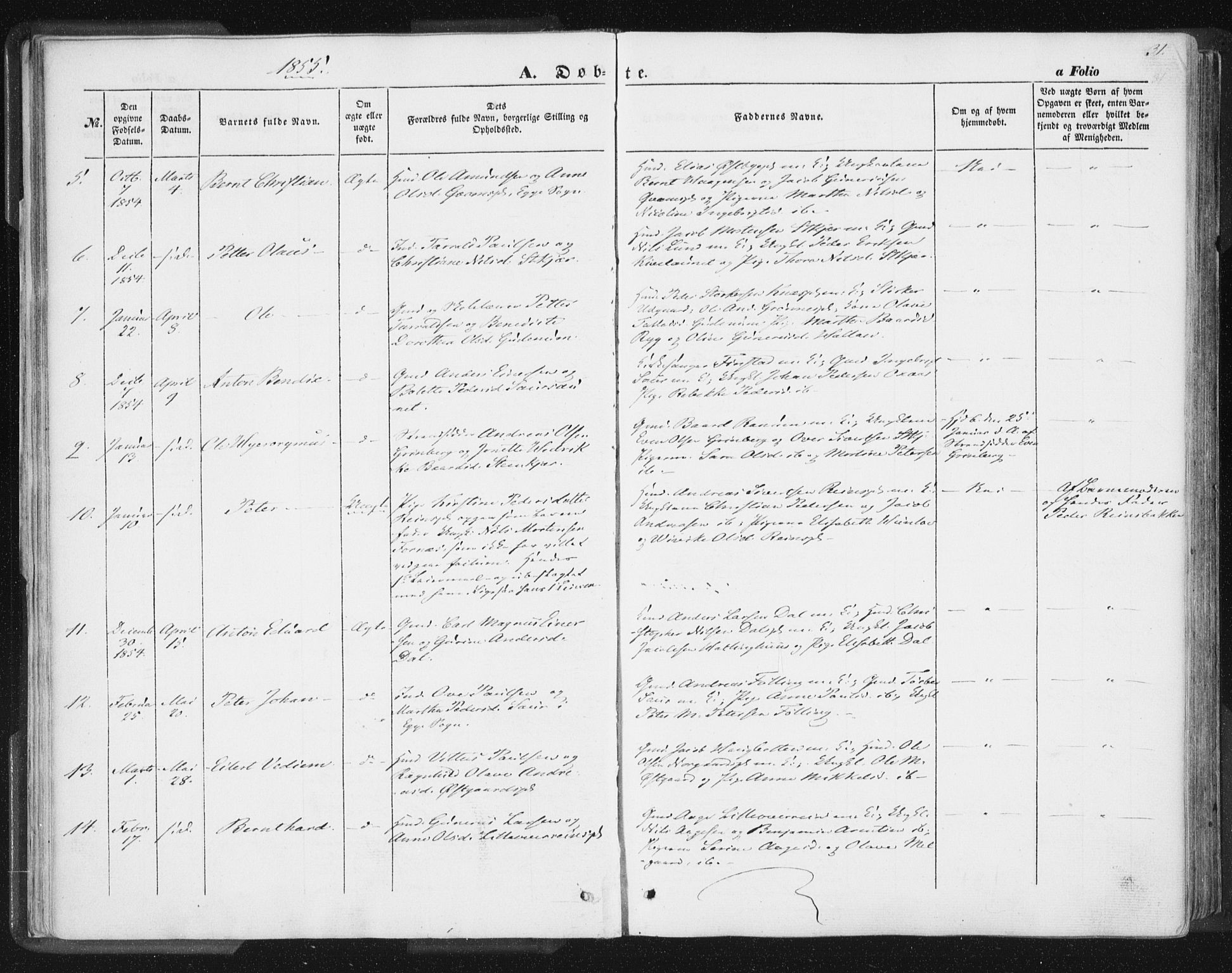 Ministerialprotokoller, klokkerbøker og fødselsregistre - Nord-Trøndelag, AV/SAT-A-1458/746/L0446: Ministerialbok nr. 746A05, 1846-1859, s. 31