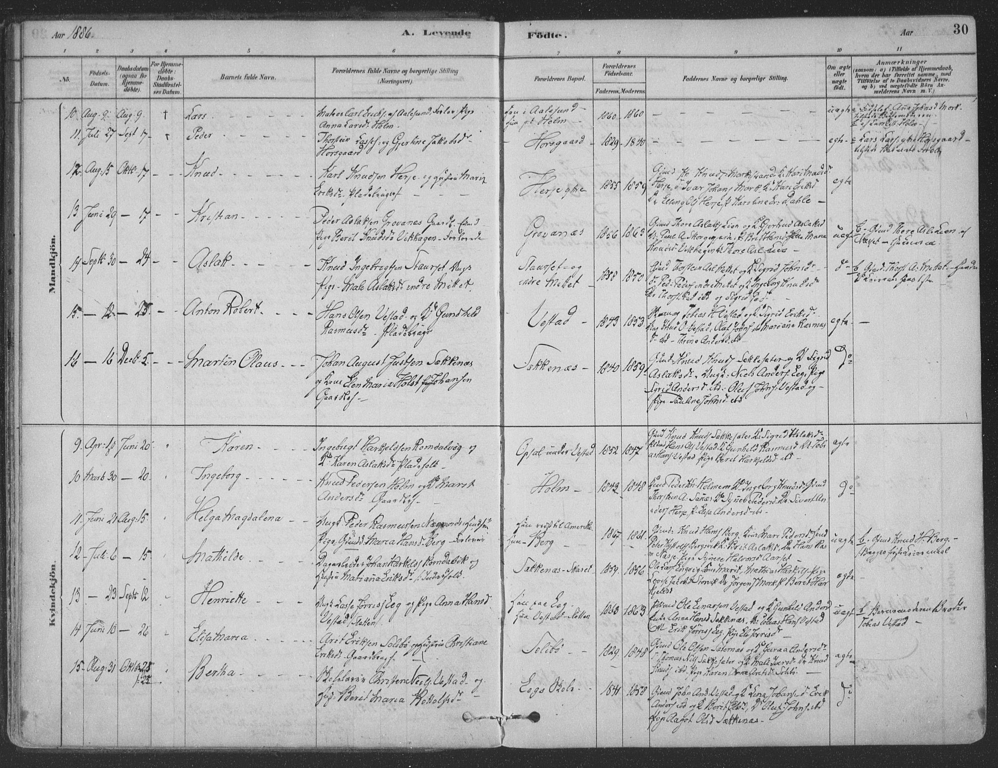 Ministerialprotokoller, klokkerbøker og fødselsregistre - Møre og Romsdal, AV/SAT-A-1454/547/L0604: Ministerialbok nr. 547A06, 1878-1906, s. 30