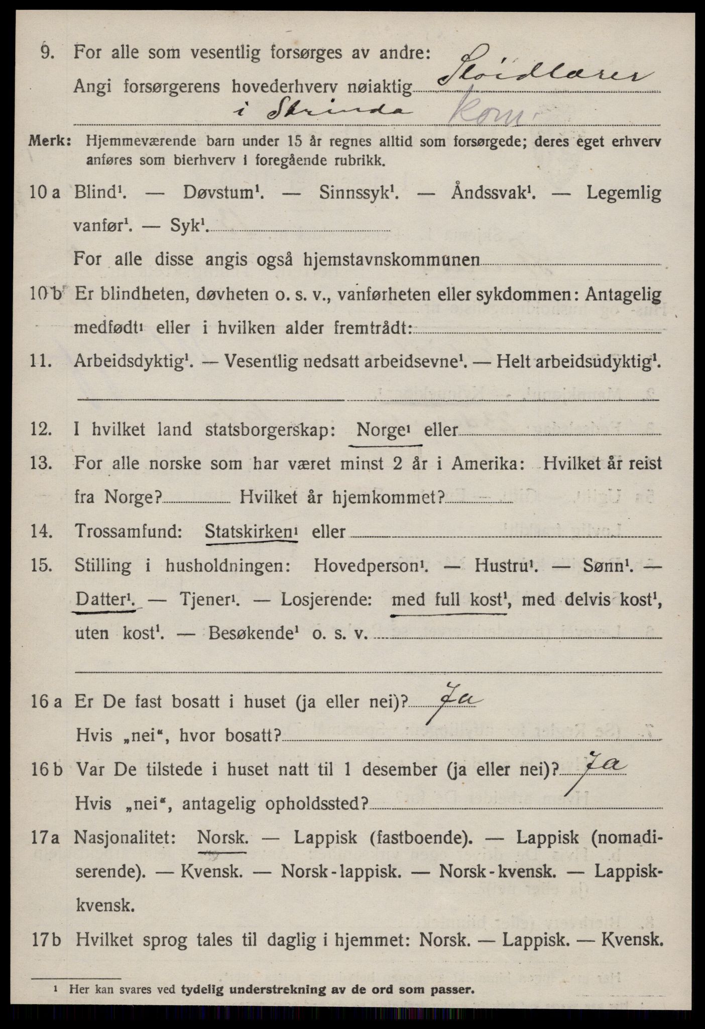 SAT, Folketelling 1920 for 1660 Strinda herred, 1920, s. 17077