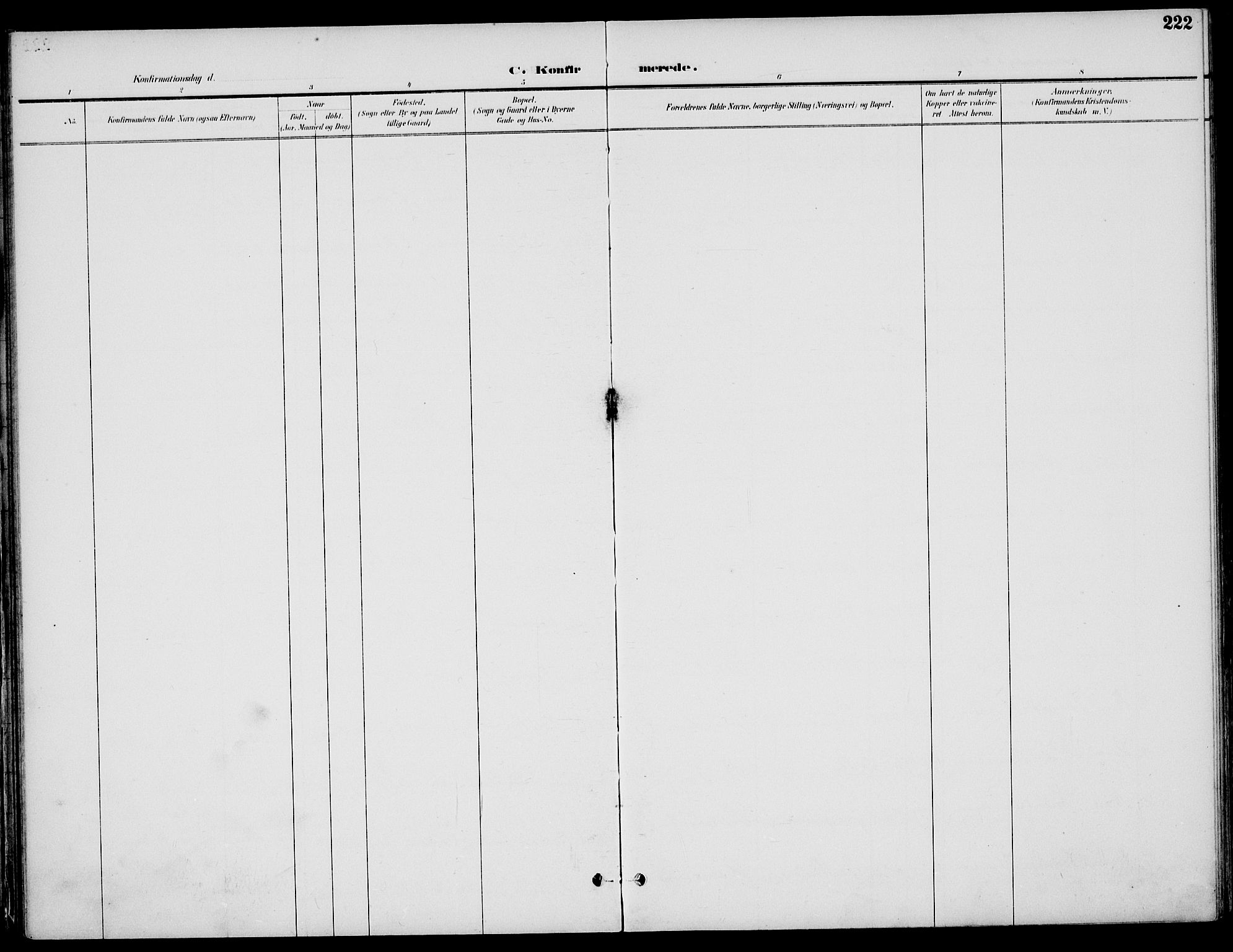 Nøtterøy kirkebøker, AV/SAKO-A-354/F/Fa/L0009: Ministerialbok nr. I 9, 1894-1907, s. 222