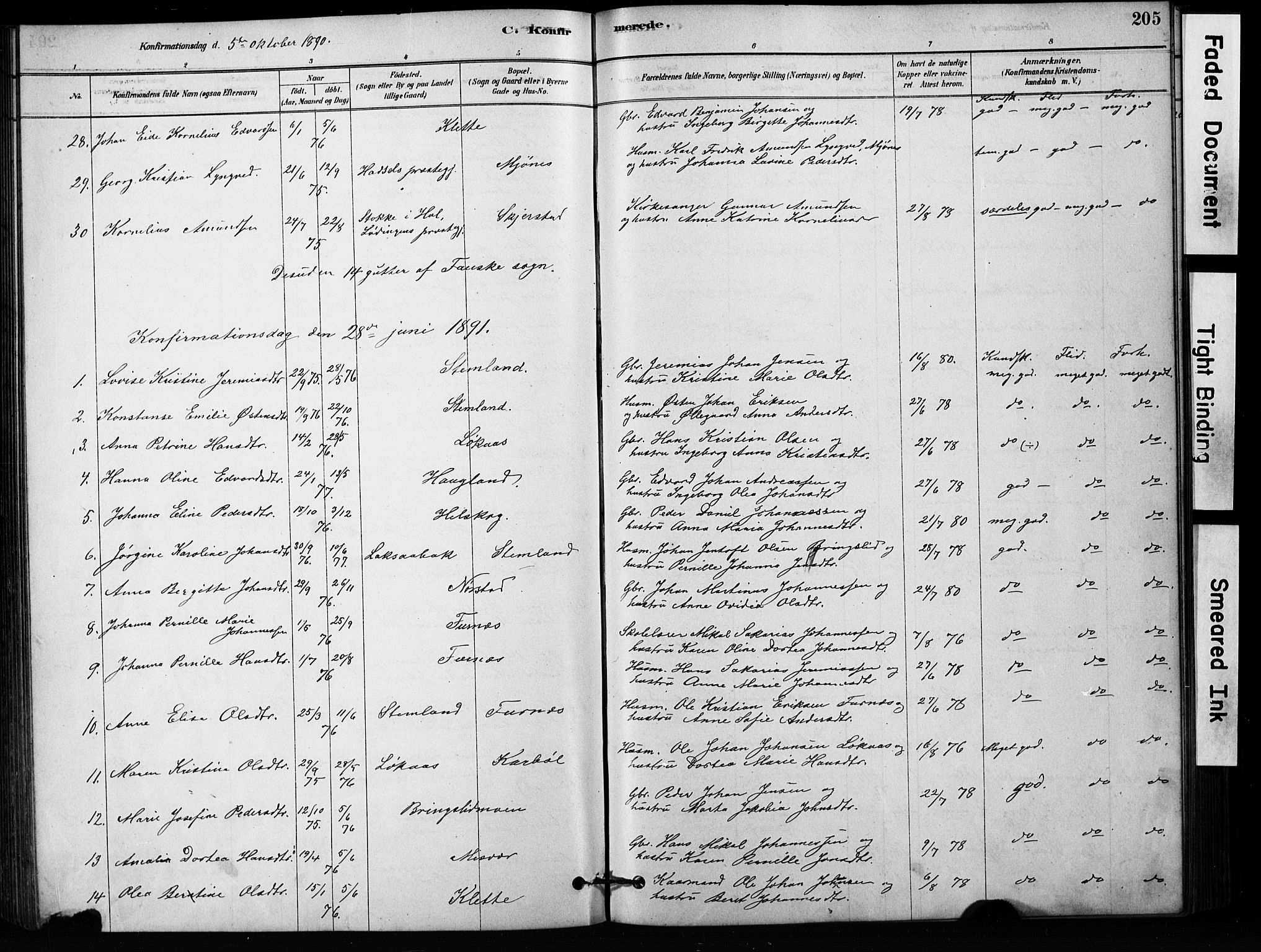 Ministerialprotokoller, klokkerbøker og fødselsregistre - Nordland, SAT/A-1459/852/L0754: Klokkerbok nr. 852C05, 1878-1894, s. 205
