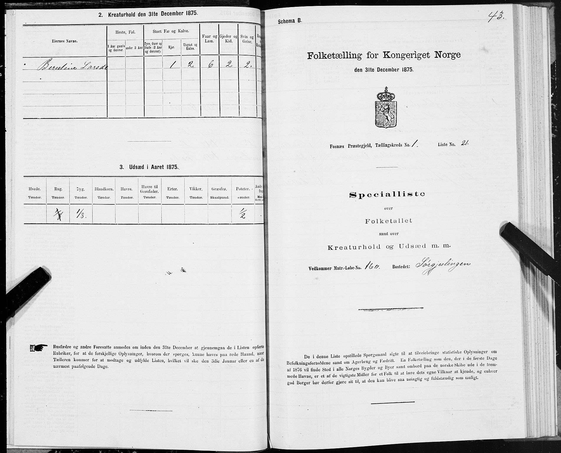 SAT, Folketelling 1875 for 1748P Fosnes prestegjeld, 1875, s. 1043