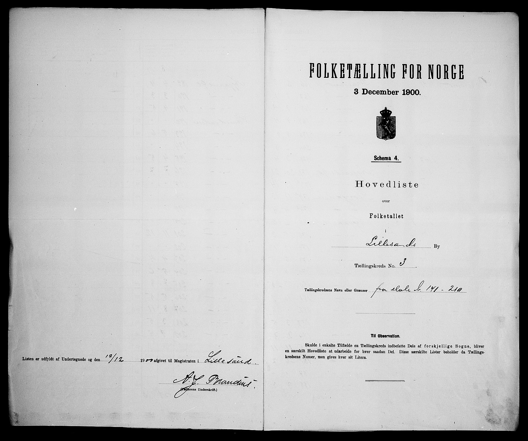 SAK, Folketelling 1900 for 0905 Lillesand ladested, 1900, s. 15