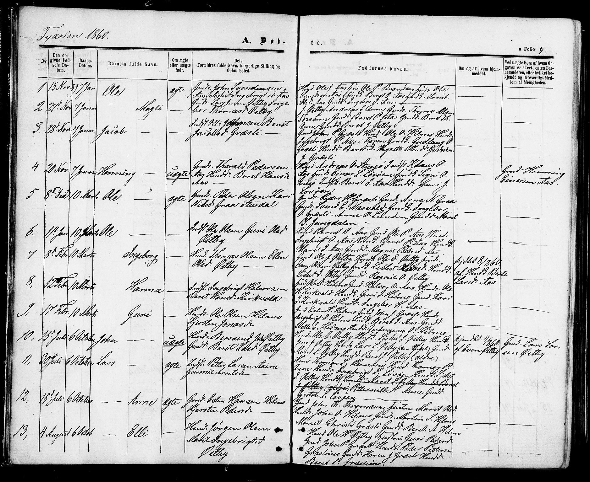 Ministerialprotokoller, klokkerbøker og fødselsregistre - Sør-Trøndelag, SAT/A-1456/695/L1147: Ministerialbok nr. 695A07, 1860-1877, s. 9