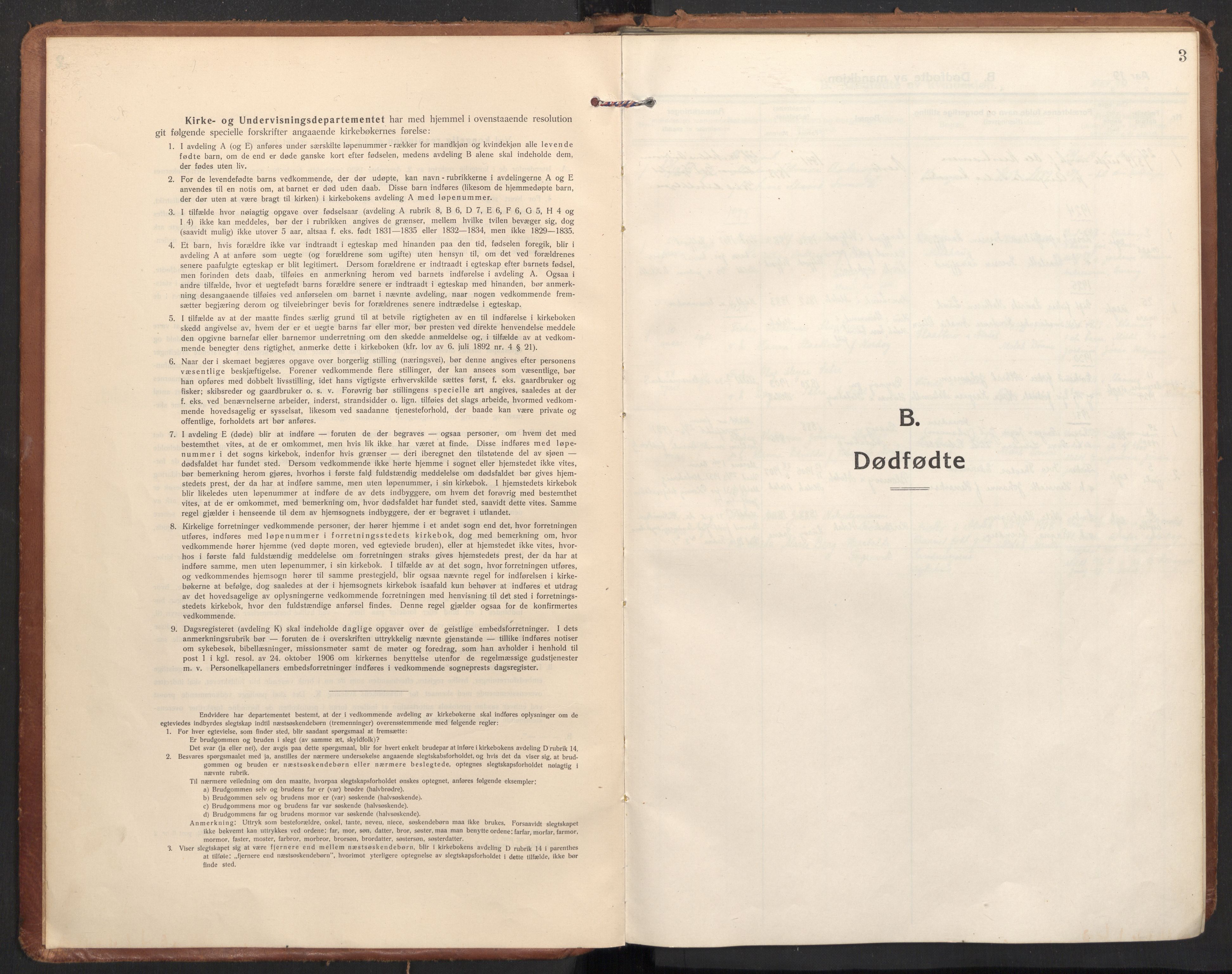 Ministerialprotokoller, klokkerbøker og fødselsregistre - Nordland, AV/SAT-A-1459/830/L0456: Ministerialbok nr. 830A20, 1914-1937, s. 3