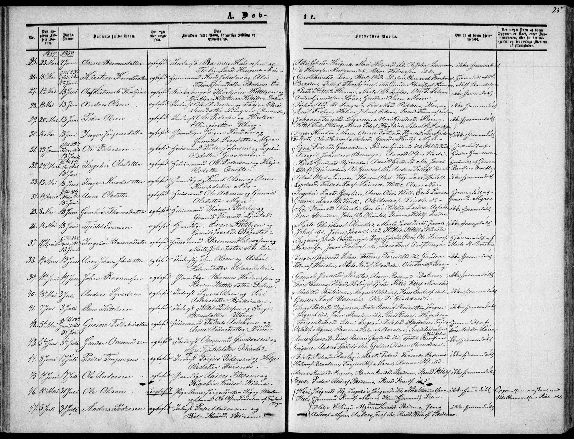 Gjerstad sokneprestkontor, AV/SAK-1111-0014/F/Fa/Fab/L0003: Ministerialbok nr. A 3, 1853-1878, s. 25