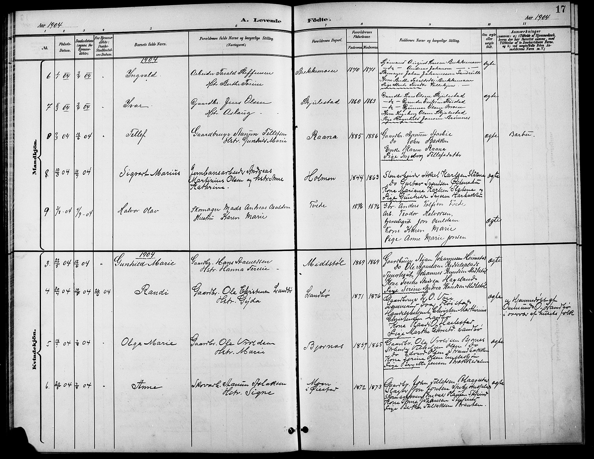 Austre Moland sokneprestkontor, AV/SAK-1111-0001/F/Fb/Fba/L0004: Klokkerbok nr. B 4a, 1897-1913, s. 17