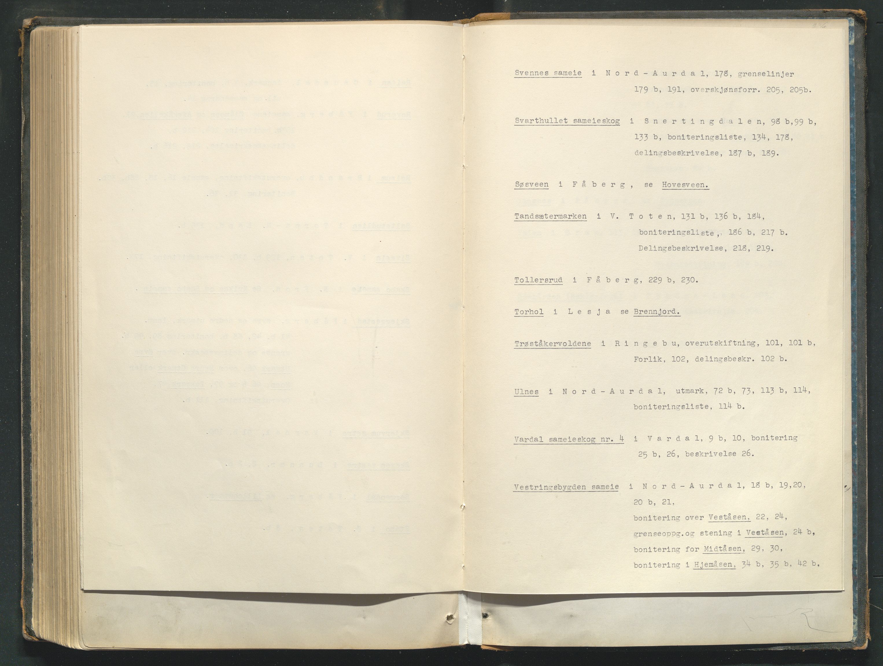 Utskiftningsformannen i Oppland fylke, AV/SAH-JORDSKIFTEO-001/H/Hc/Hcg/L0001/0001: Forhandlingsprotokoller  / Forhandlingsprotokoll - hele Oppland, 1867-1875