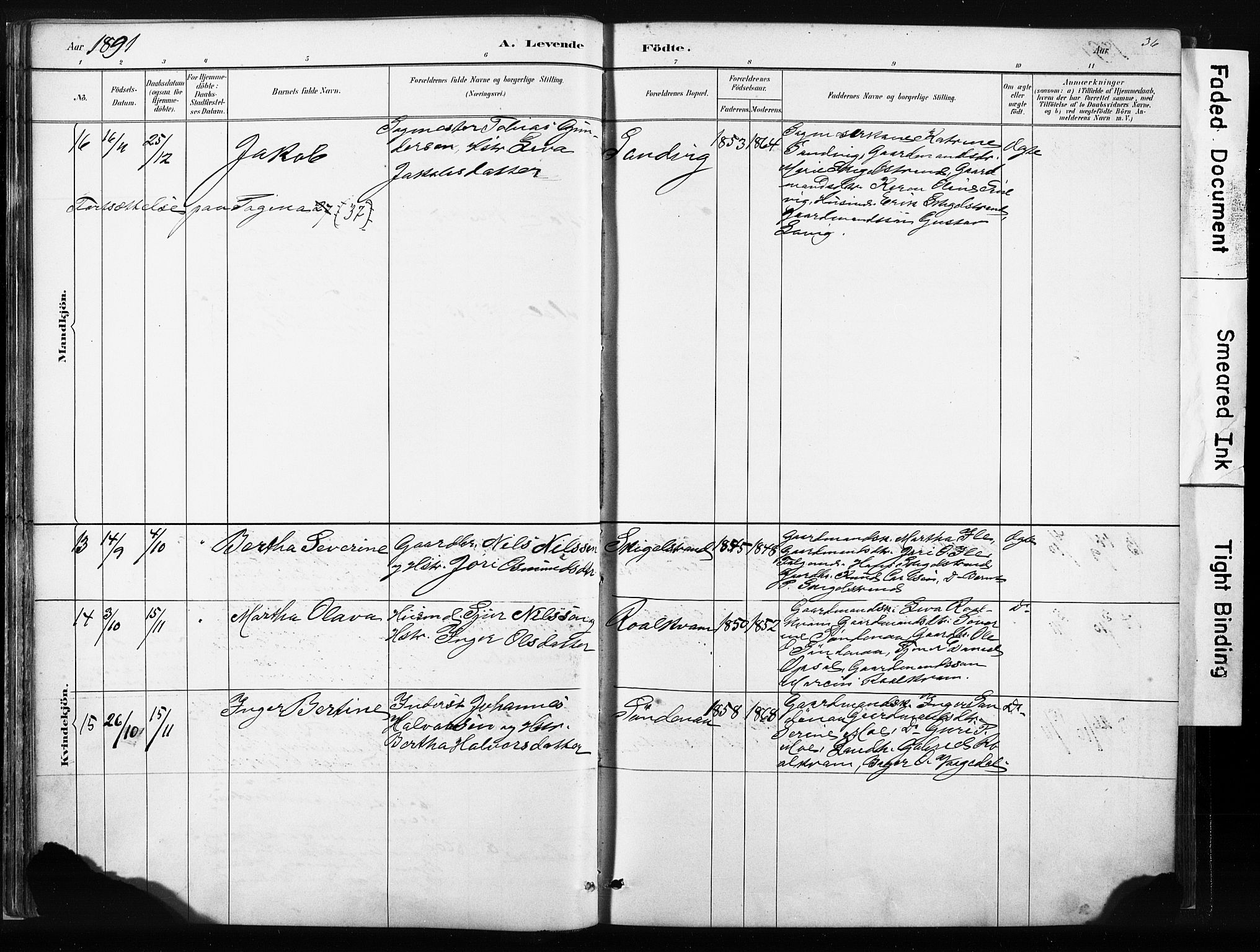 Vikedal sokneprestkontor, AV/SAST-A-101840/01/IV: Ministerialbok nr. A 10, 1884-1907, s. 36