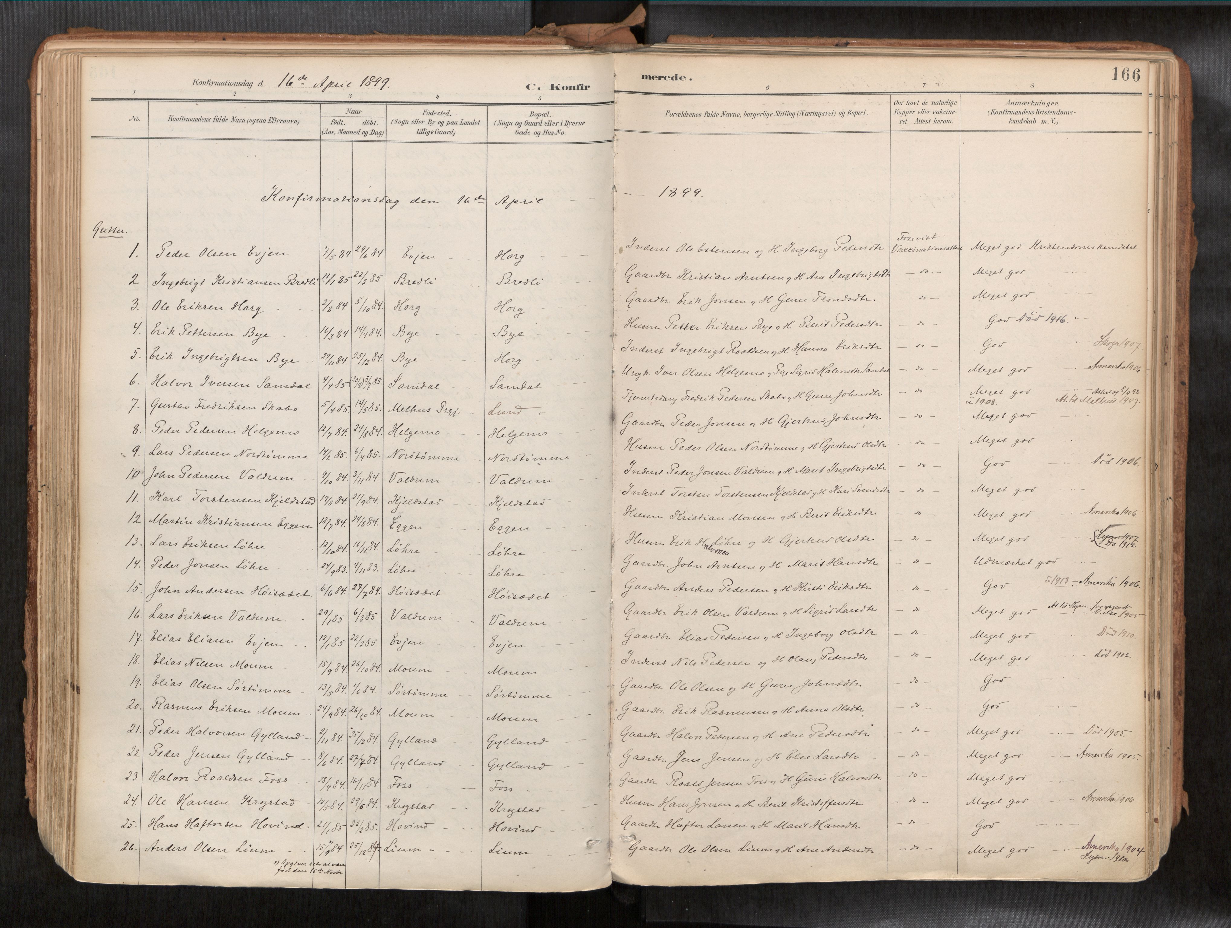 Ministerialprotokoller, klokkerbøker og fødselsregistre - Sør-Trøndelag, AV/SAT-A-1456/692/L1105b: Ministerialbok nr. 692A06, 1891-1934, s. 166