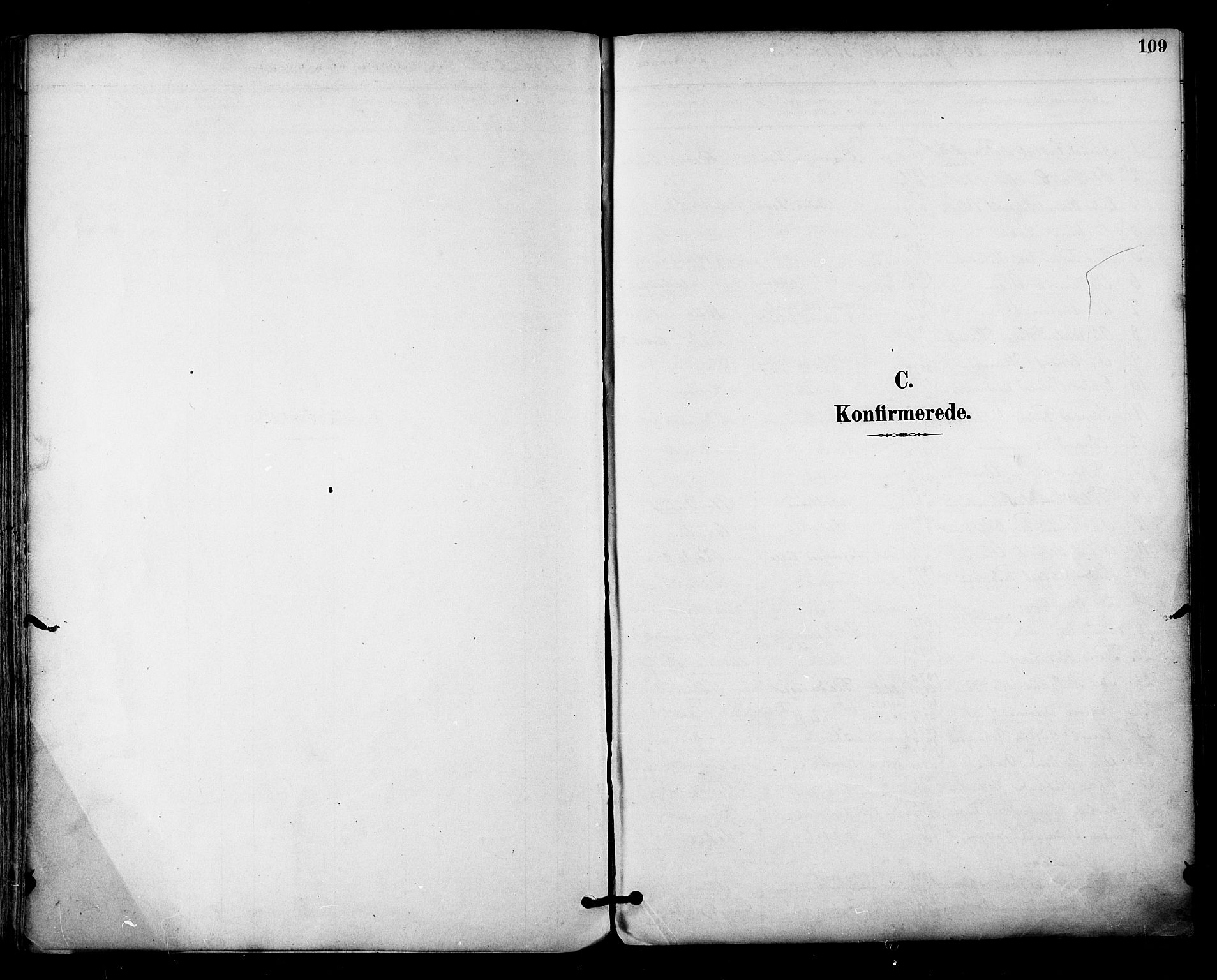 Ministerialprotokoller, klokkerbøker og fødselsregistre - Nordland, SAT/A-1459/813/L0200: Ministerialbok nr. 813A10, 1886-1900, s. 109