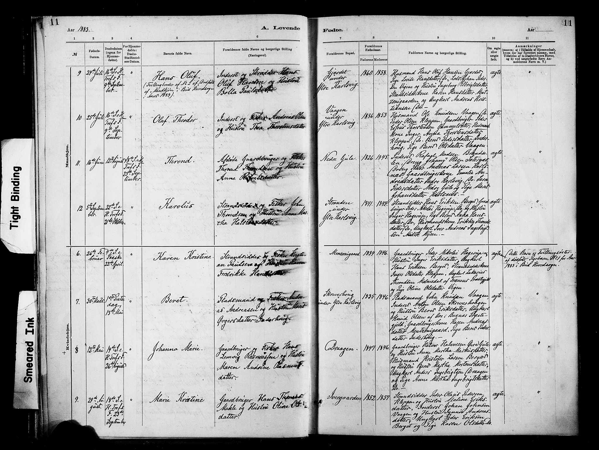 Ministerialprotokoller, klokkerbøker og fødselsregistre - Møre og Romsdal, AV/SAT-A-1454/566/L0769: Ministerialbok nr. 566A08, 1881-1903, s. 11